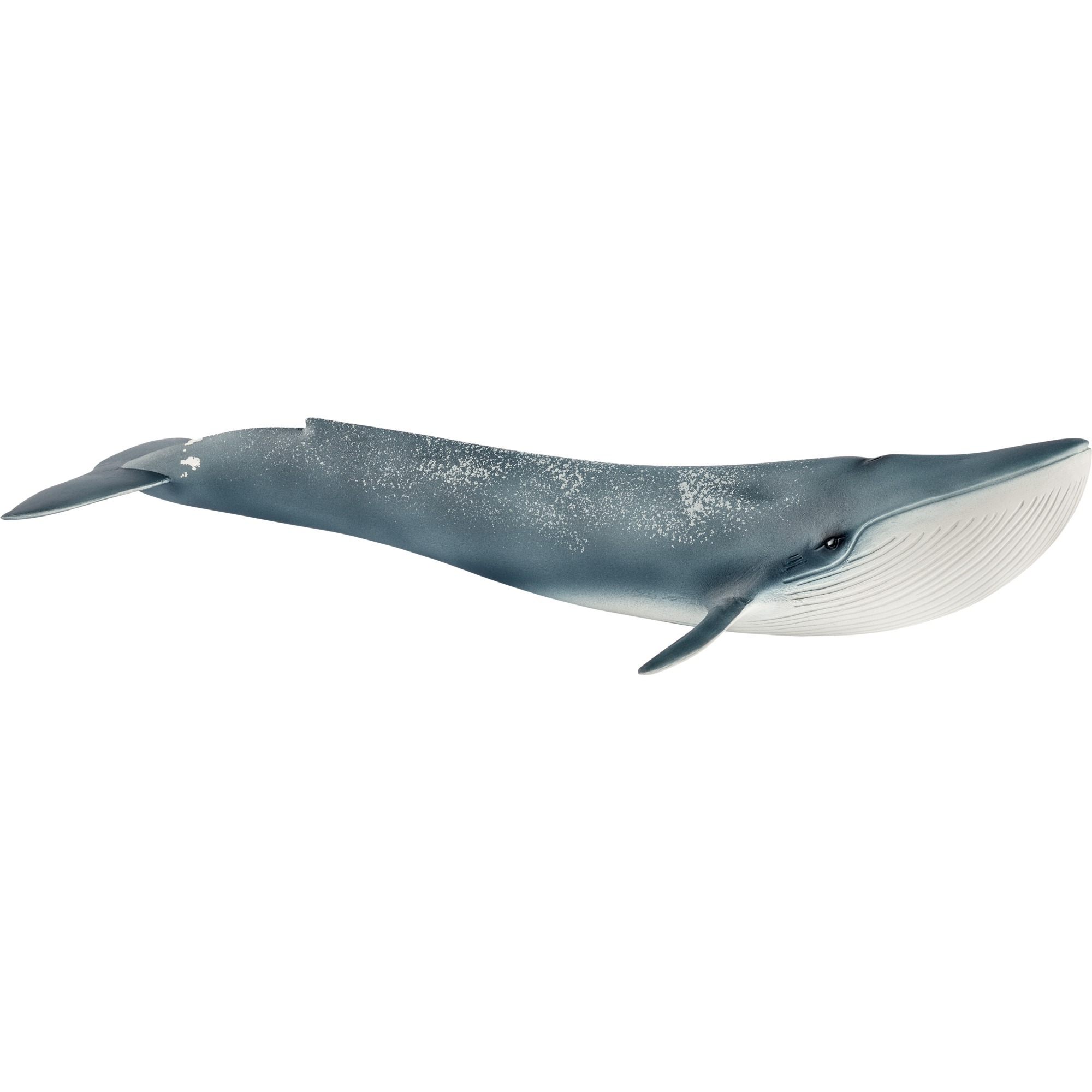Schleich Blauwal, Spielfigur | 04055744020742 Schleich Blauwal, Spielfigur | 04055744020742