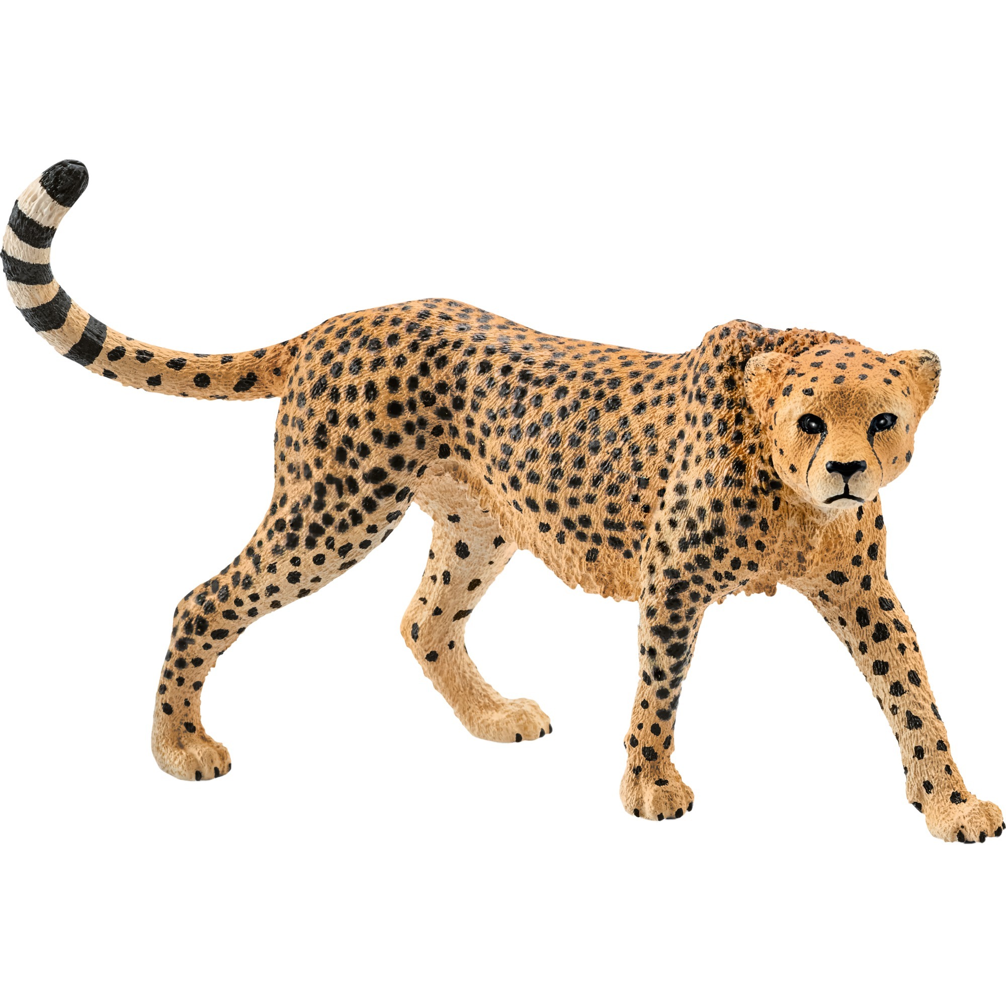 Schleich Gepardin, Spielfigur | 04059433333229 Schleich Gepardin, Spielfigur | 04059433333229