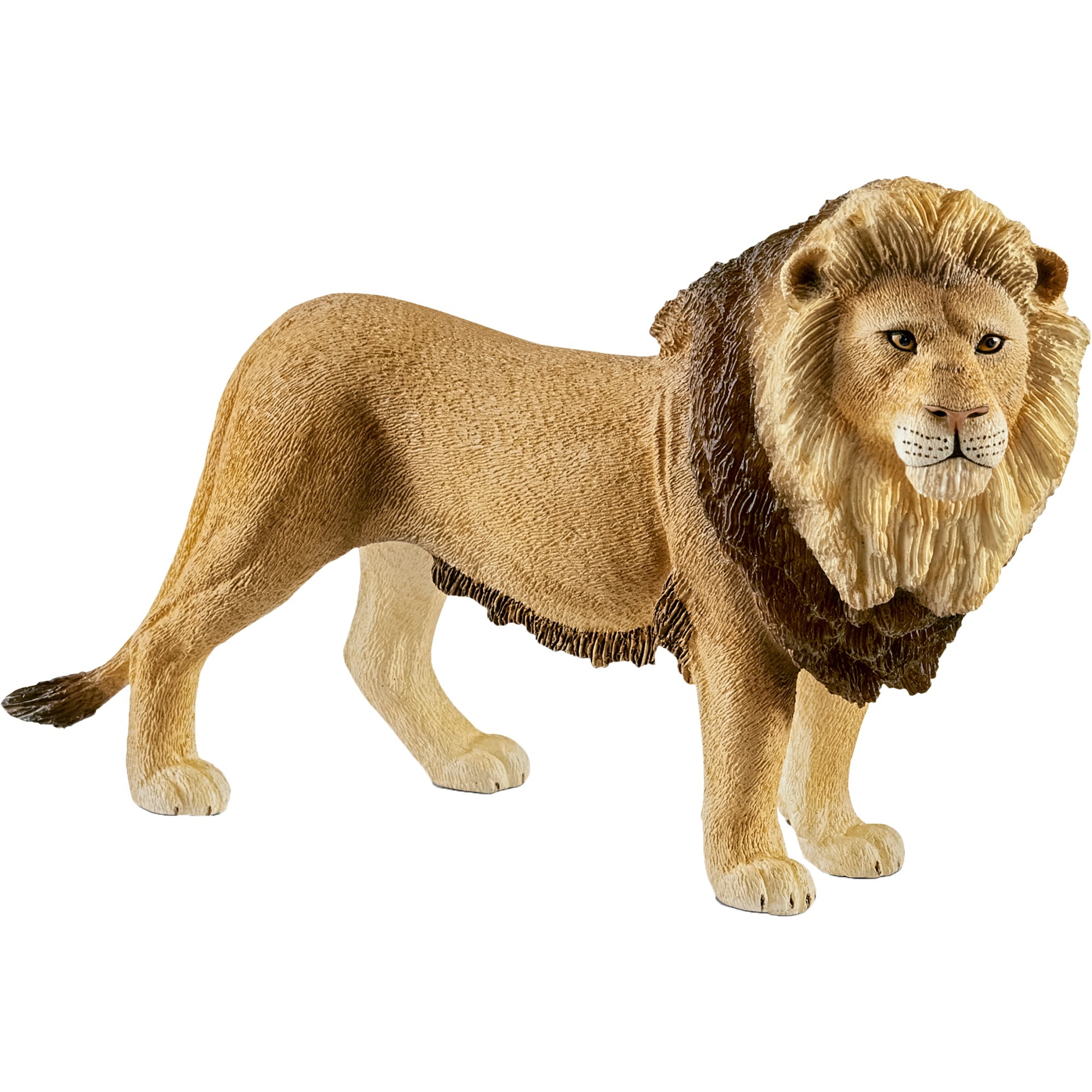 Schleich Löwe, Spielfigur | 04055744020803 Schleich Löwe, Spielfigur | 04055744020803