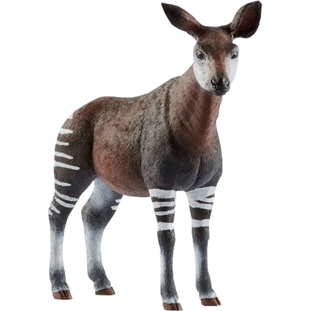 Schleich Okapi, Spielfigur | 04055744029714 Schleich Okapi, Spielfigur | 04055744029714