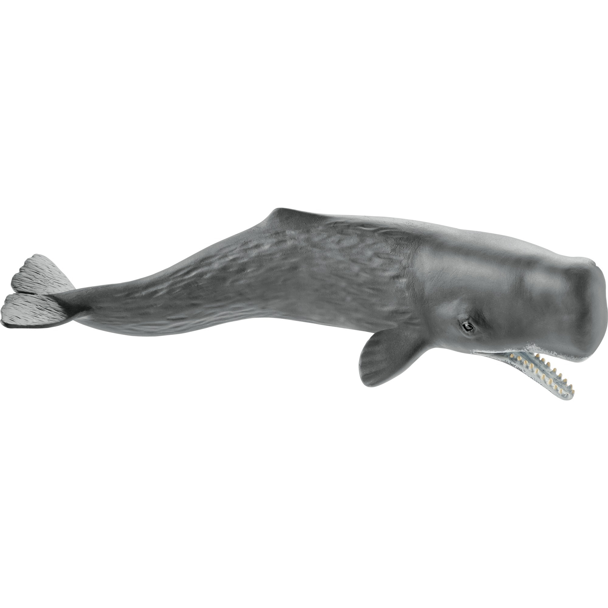 Schleich Pottwal, Spielfigur | 04005086147645 Schleich Pottwal, Spielfigur | 04005086147645