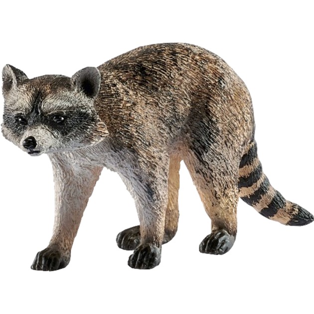 Schleich Waschbär, Spielfigur | 04055744029691 Schleich Waschbär, Spielfigur | 04055744029691