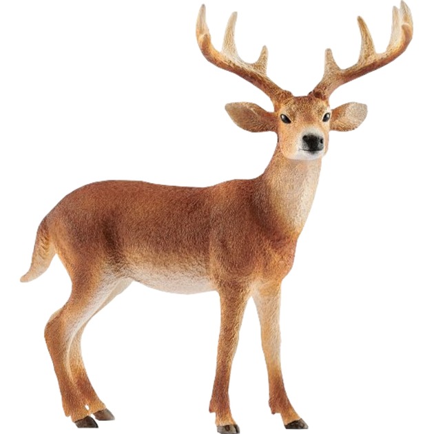 Schleich Weißwedelhirsch, Spielfigur | 04055744029608
