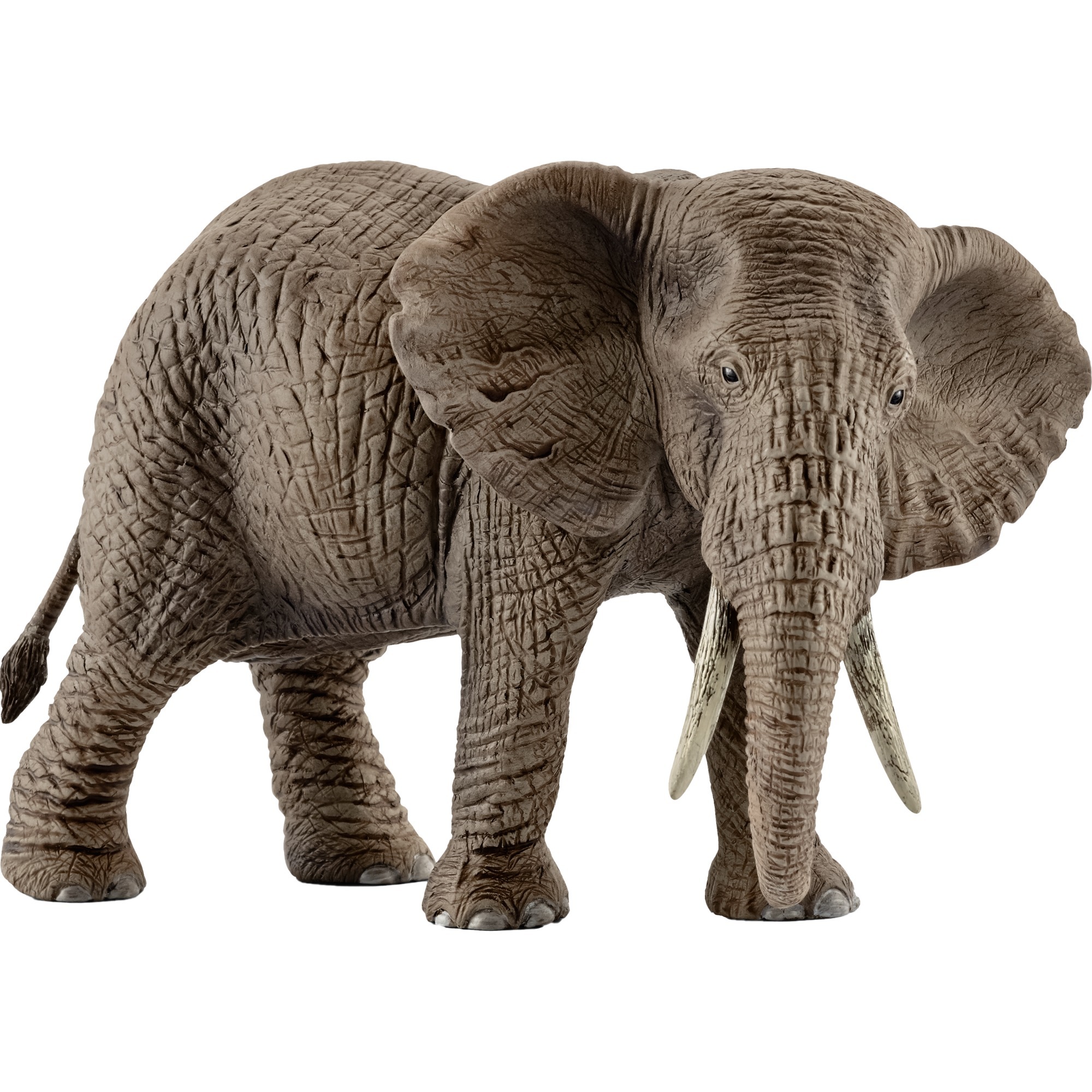 Schleich Wild Life Afrikanische Elefantenkuh, Spielfigur | 04005086147614 Schleich Wild Life Afrikanische Elefantenkuh, Spielfigur | 04005086147614