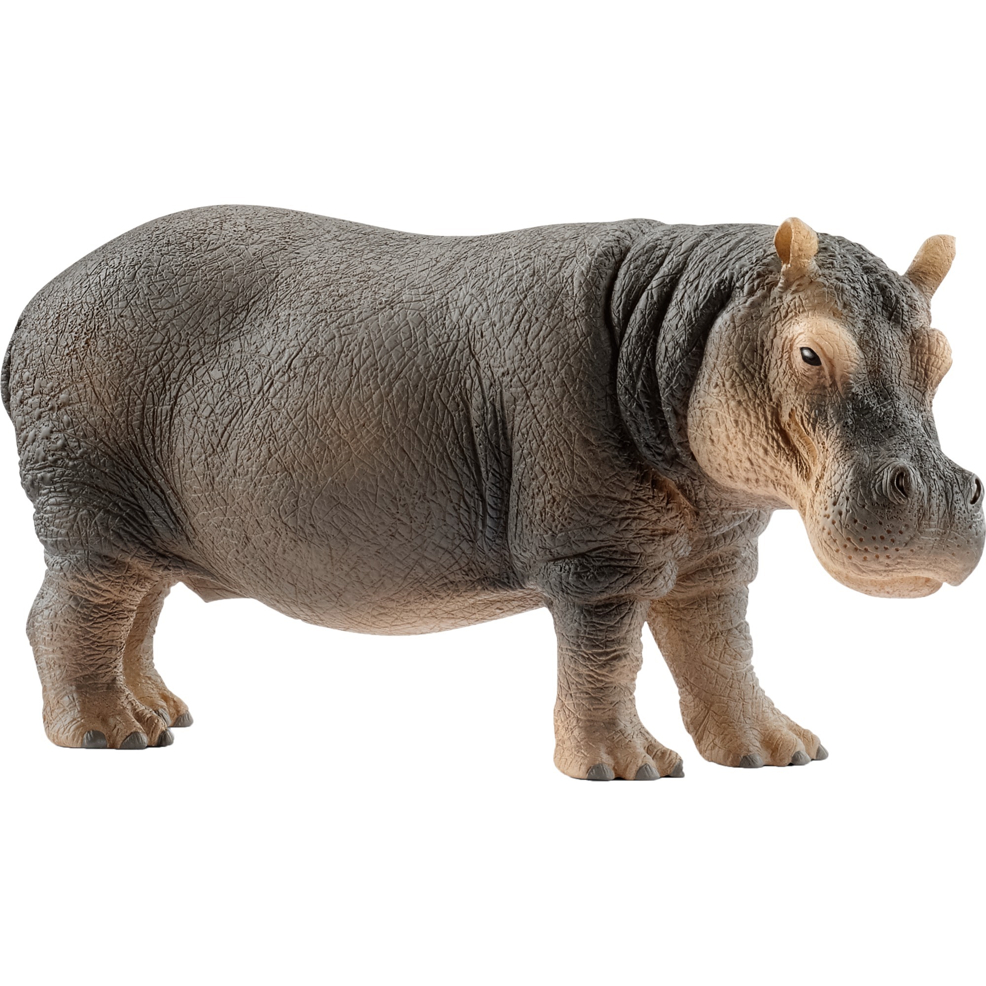 Schleich Wild Life Flusspferd, Spielfigur | 04055744020827 Schleich Wild Life Flusspferd, Spielfigur | 04055744020827