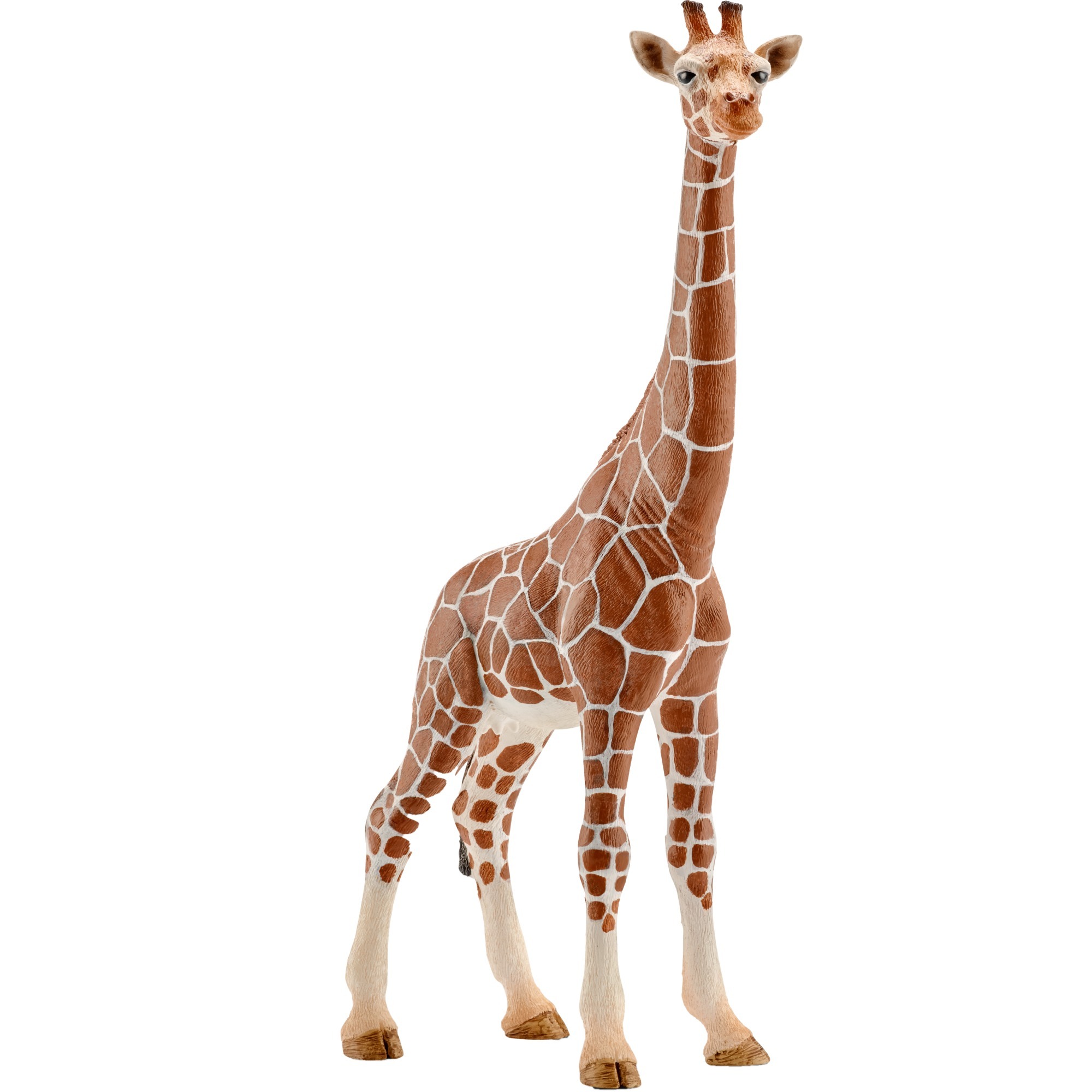 Schleich Wild Life Giraffenkuh, Spielfigur | 04005086147508 Schleich Wild Life Giraffenkuh, Spielfigur | 04005086147508
