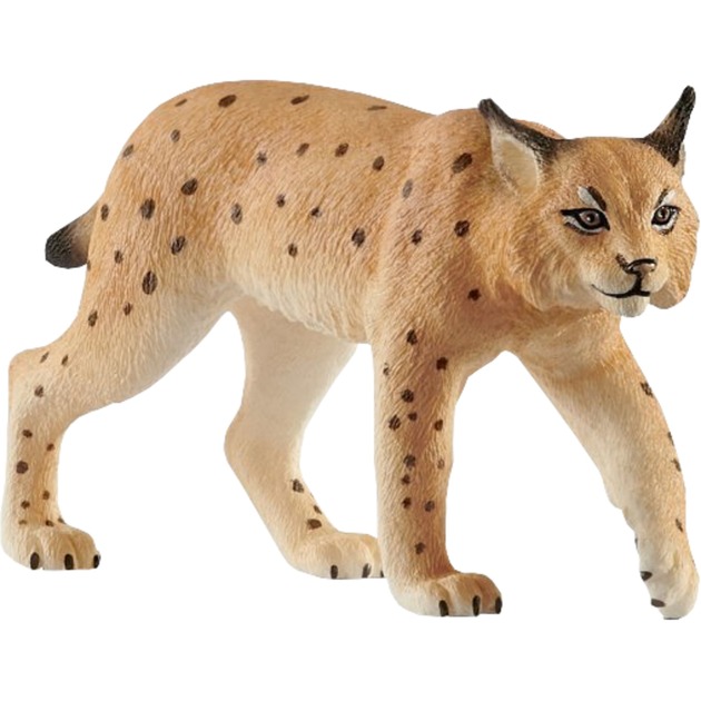 Schleich Wild Life Luchs, Spielfigur | 04055744029646 Schleich Wild Life Luchs, Spielfigur | 04055744029646