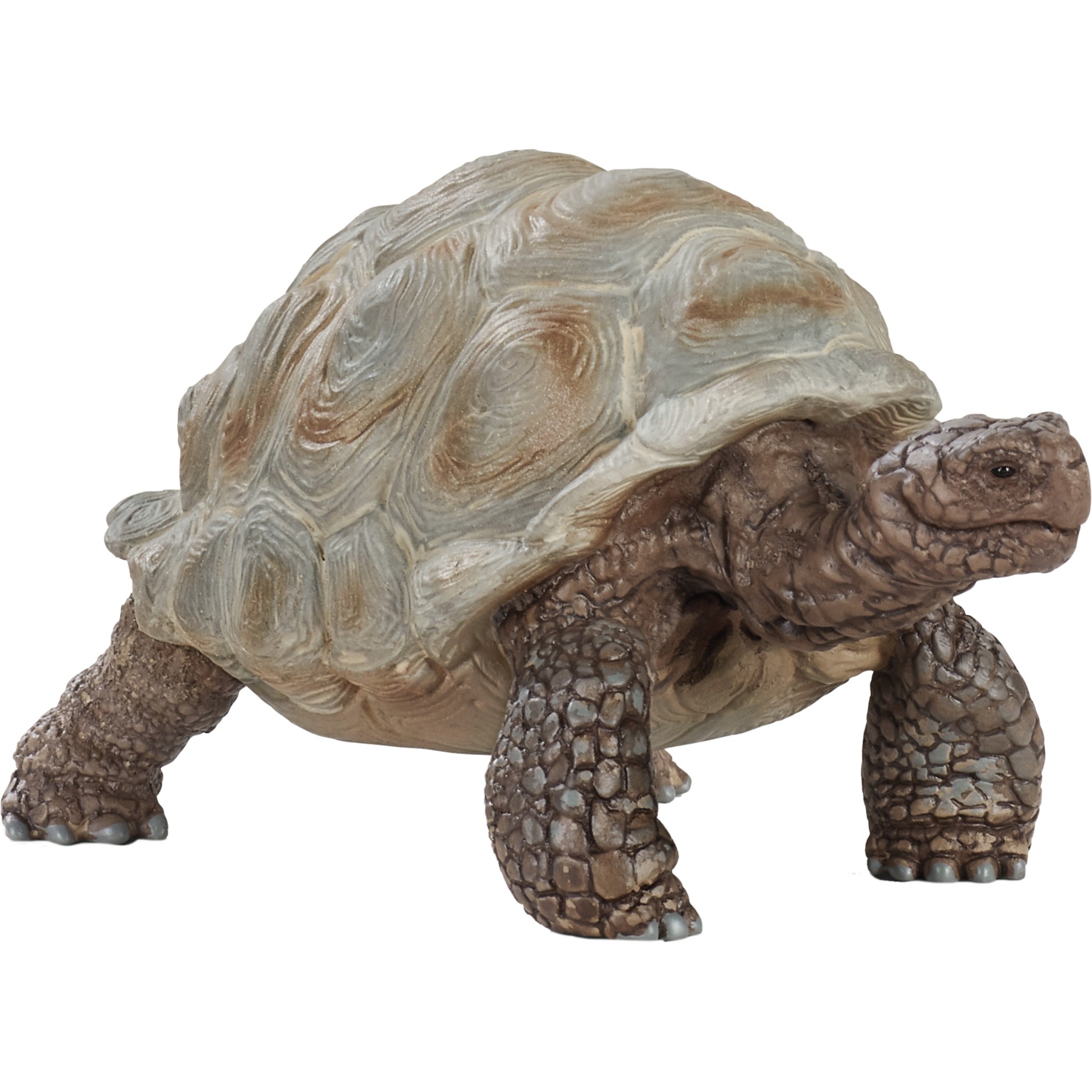Wild Life Riesenschildkröte, Spielfigur