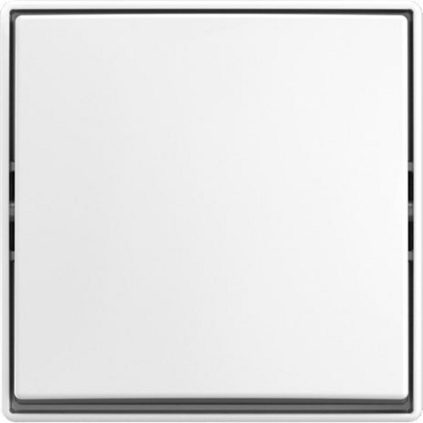 Busch-J. Wippschalter AP 2601/6 J-524