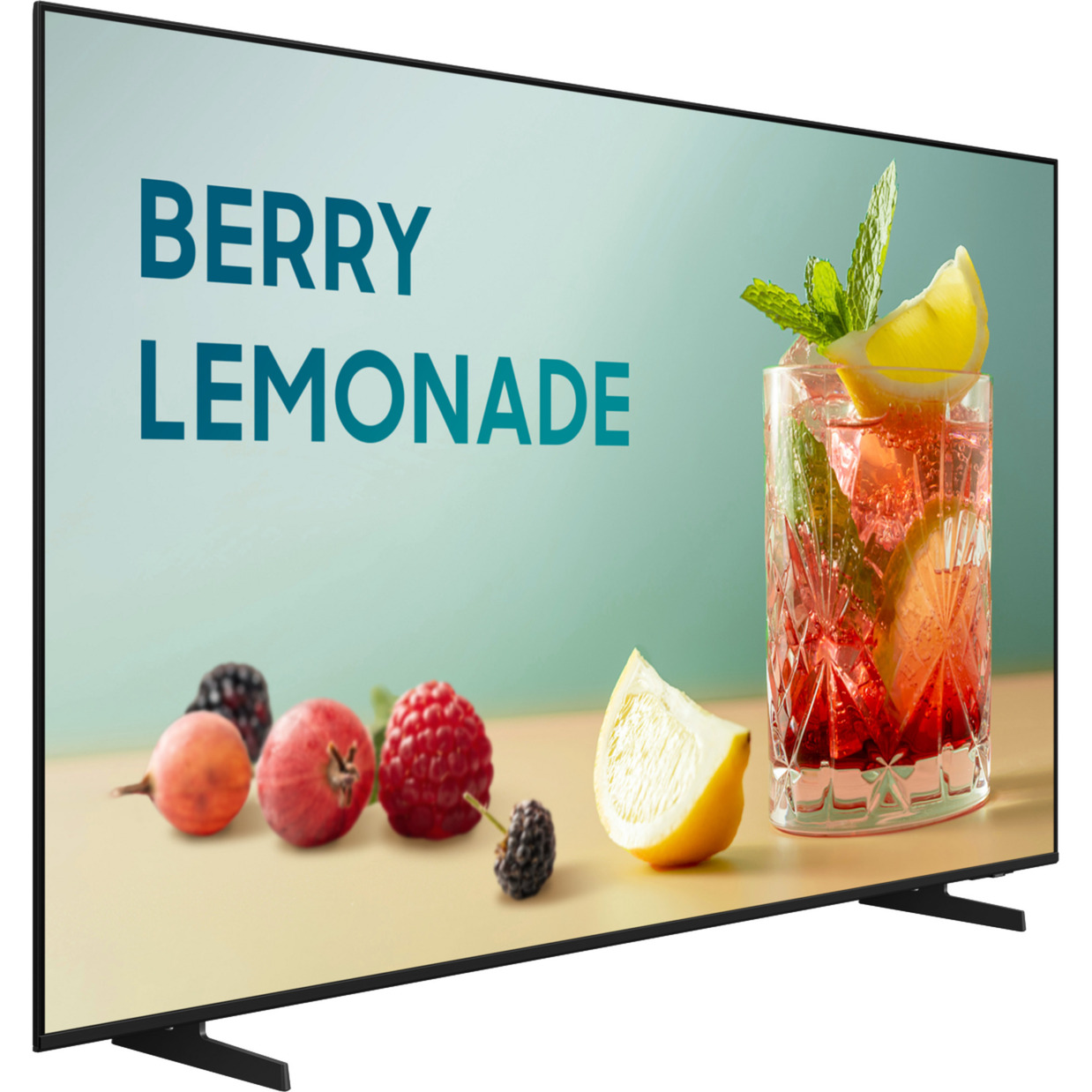 BE65FX-H Business TV, Public Display
