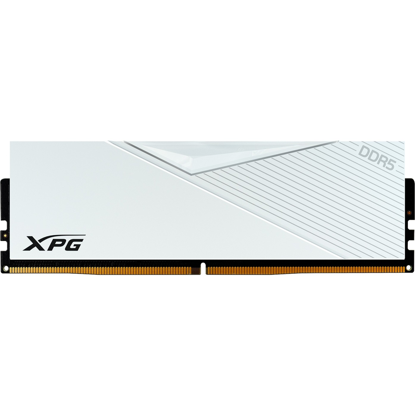 DIMM 16 GB DDR5-6000 , Arbeitsspeicher