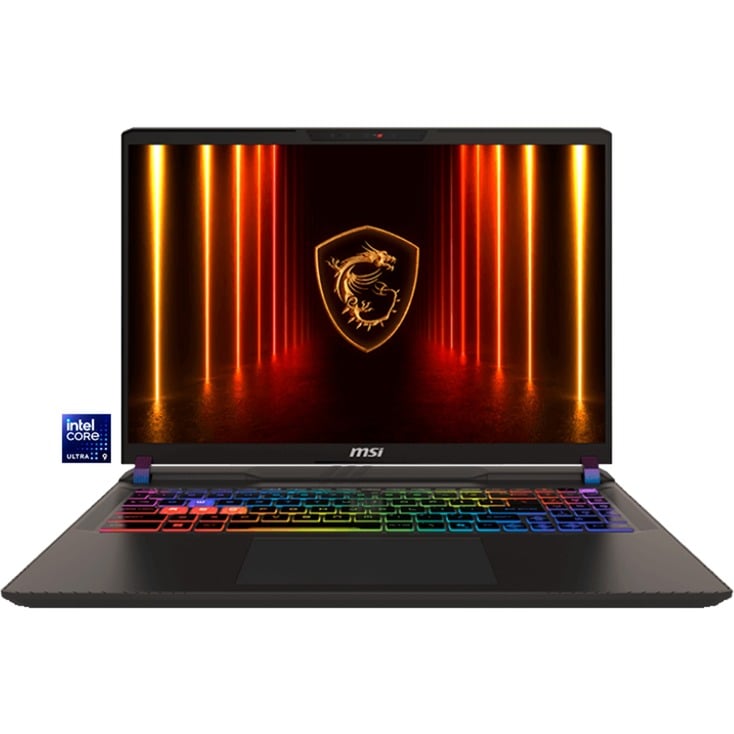 Vector 17 HX AI A2XWJG-039, Gaming-Notebook