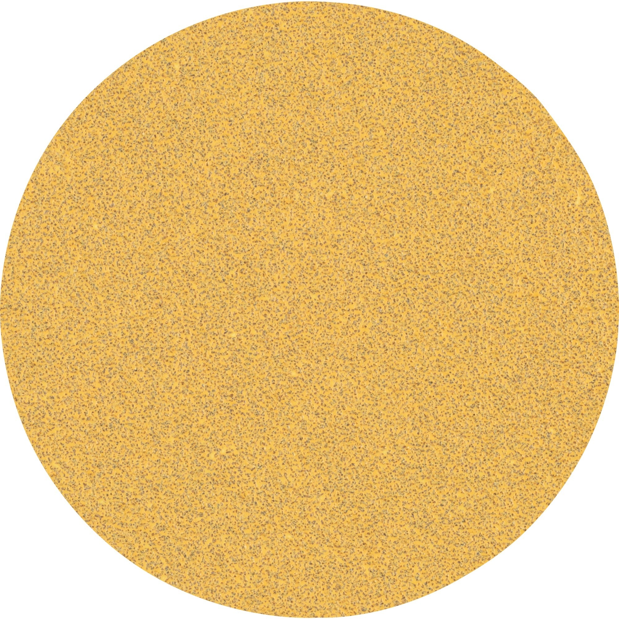 Expert C470 Schleifblatt, Ø 125mm, K60 ungelocht
