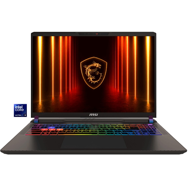 Vector 16 HX AI A2XWIG-048, Gaming-Notebook