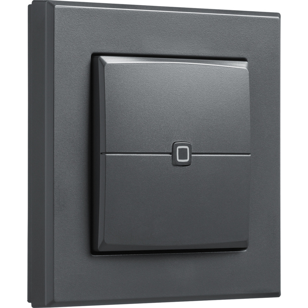 Wandtaster – 2-fach (HmIP-WRC2-A-2), Schalter