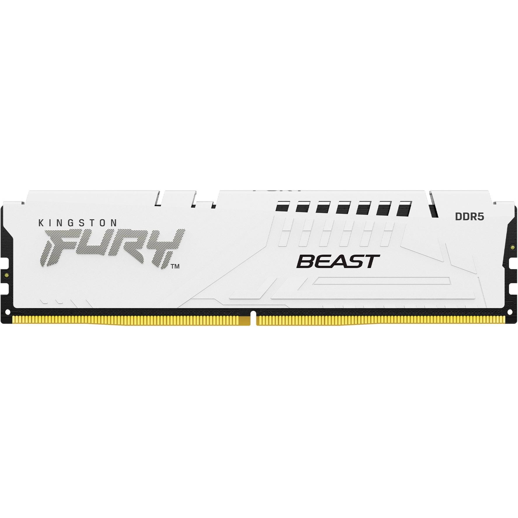DIMM 16 GB DDR5-6000, Arbeitsspeicher
