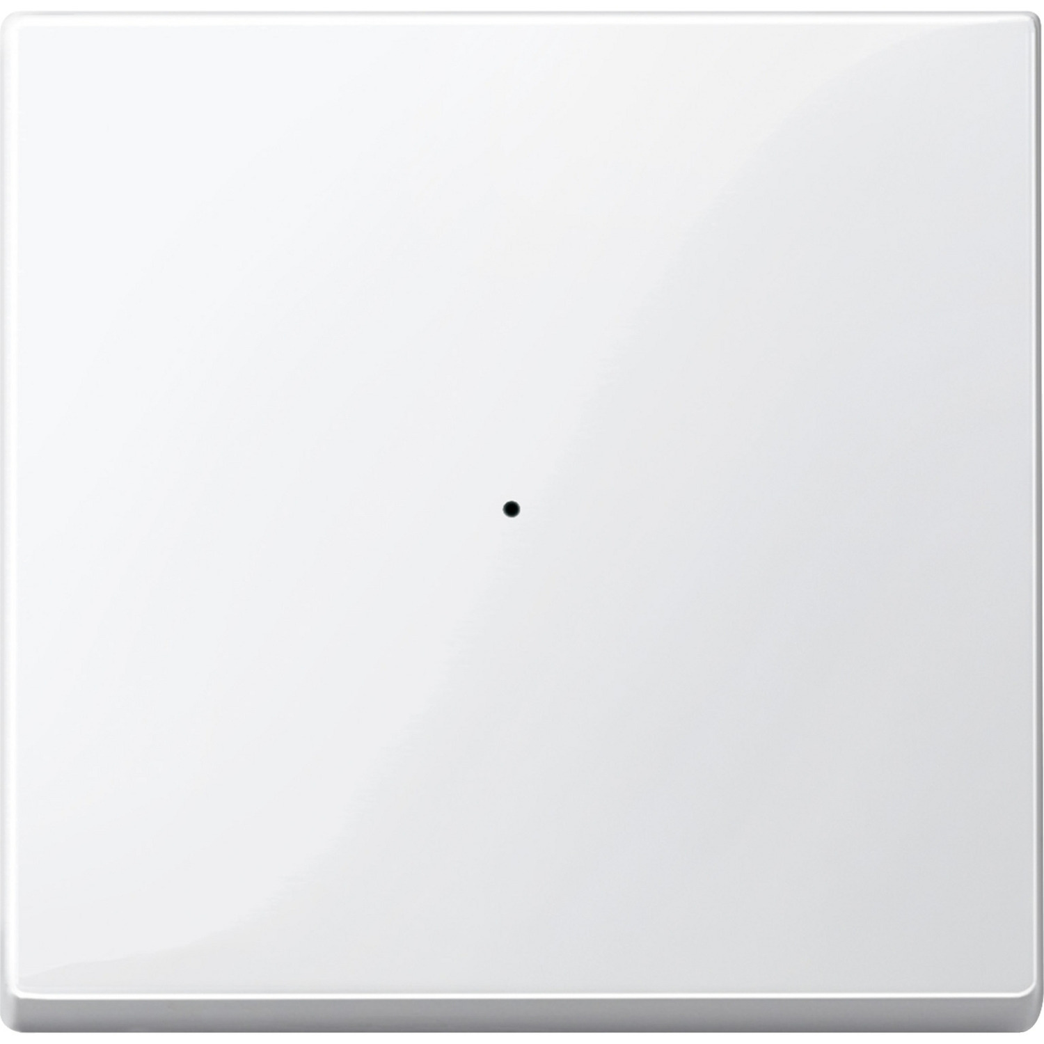 Wippe für Tastermodul einfach, Typ 619119, Thermoplast glänzend, System M