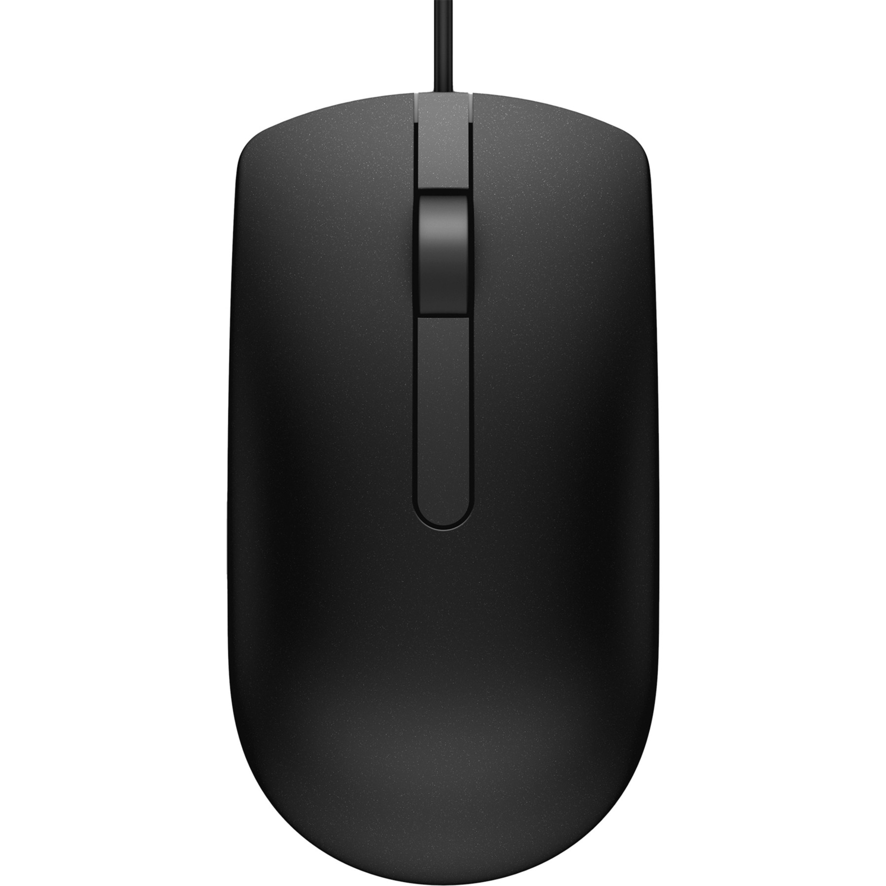 MS116, Maus