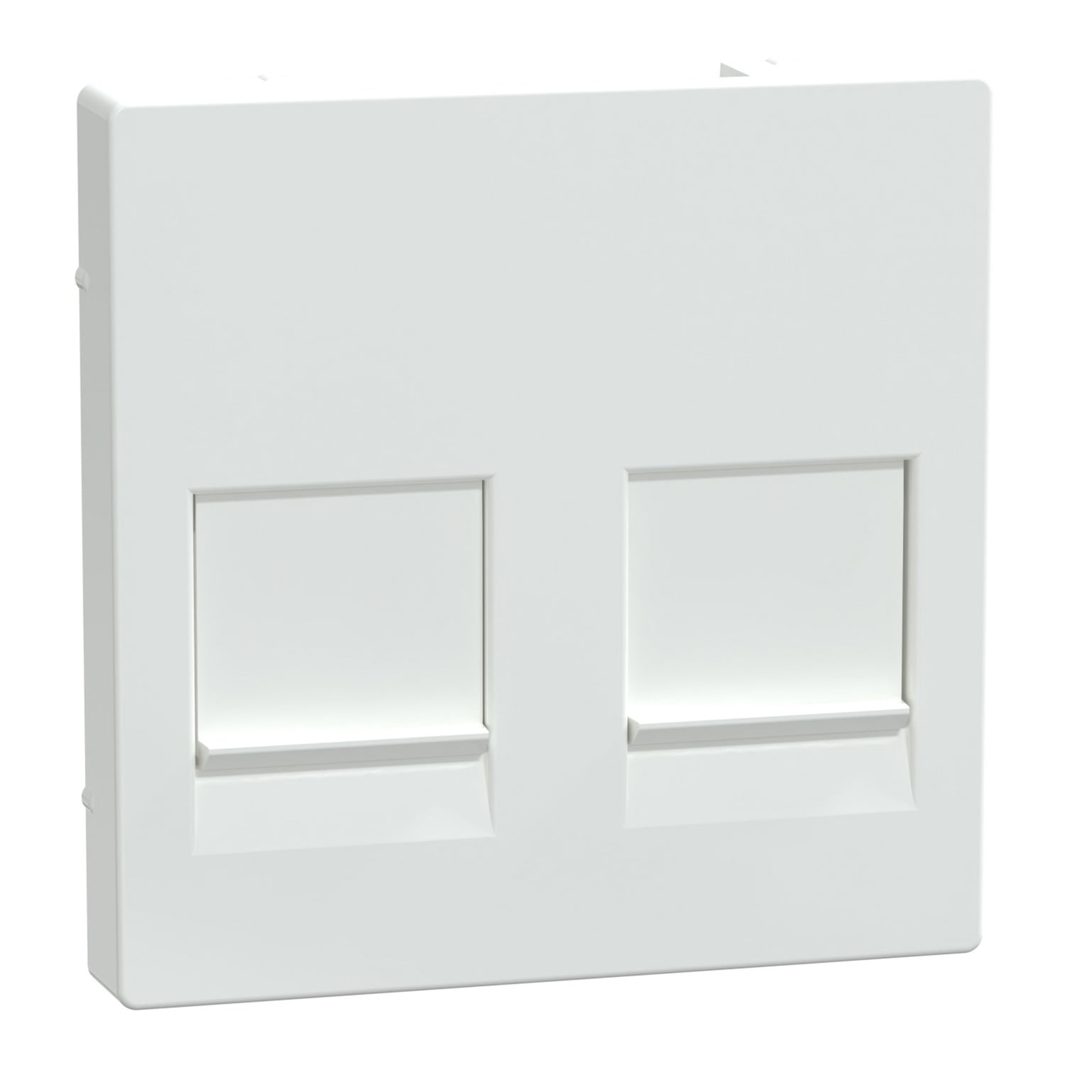 Zentralplatte zweifach Anschluss für Modular-Jack