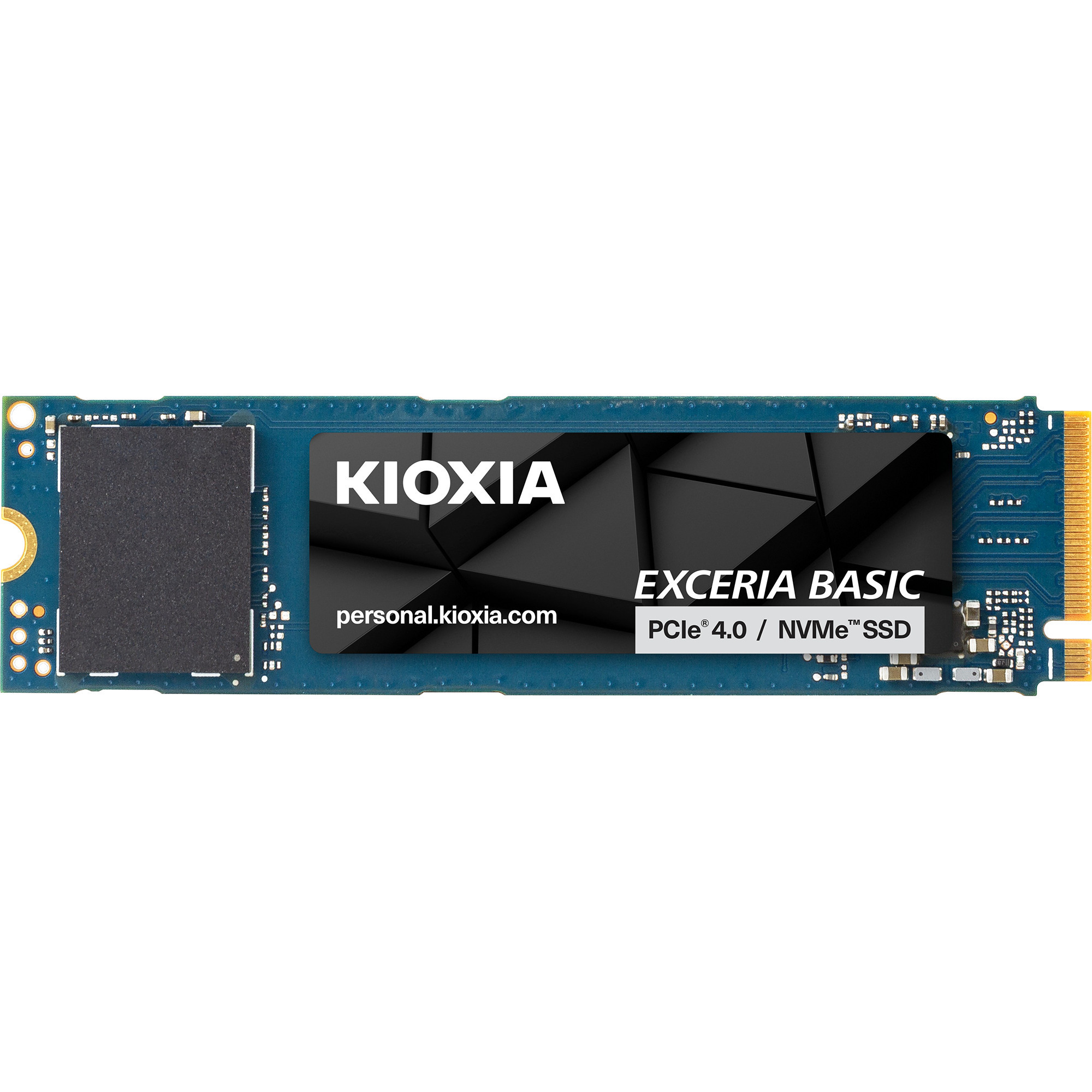 Exceria Basic 2 TB, SSD