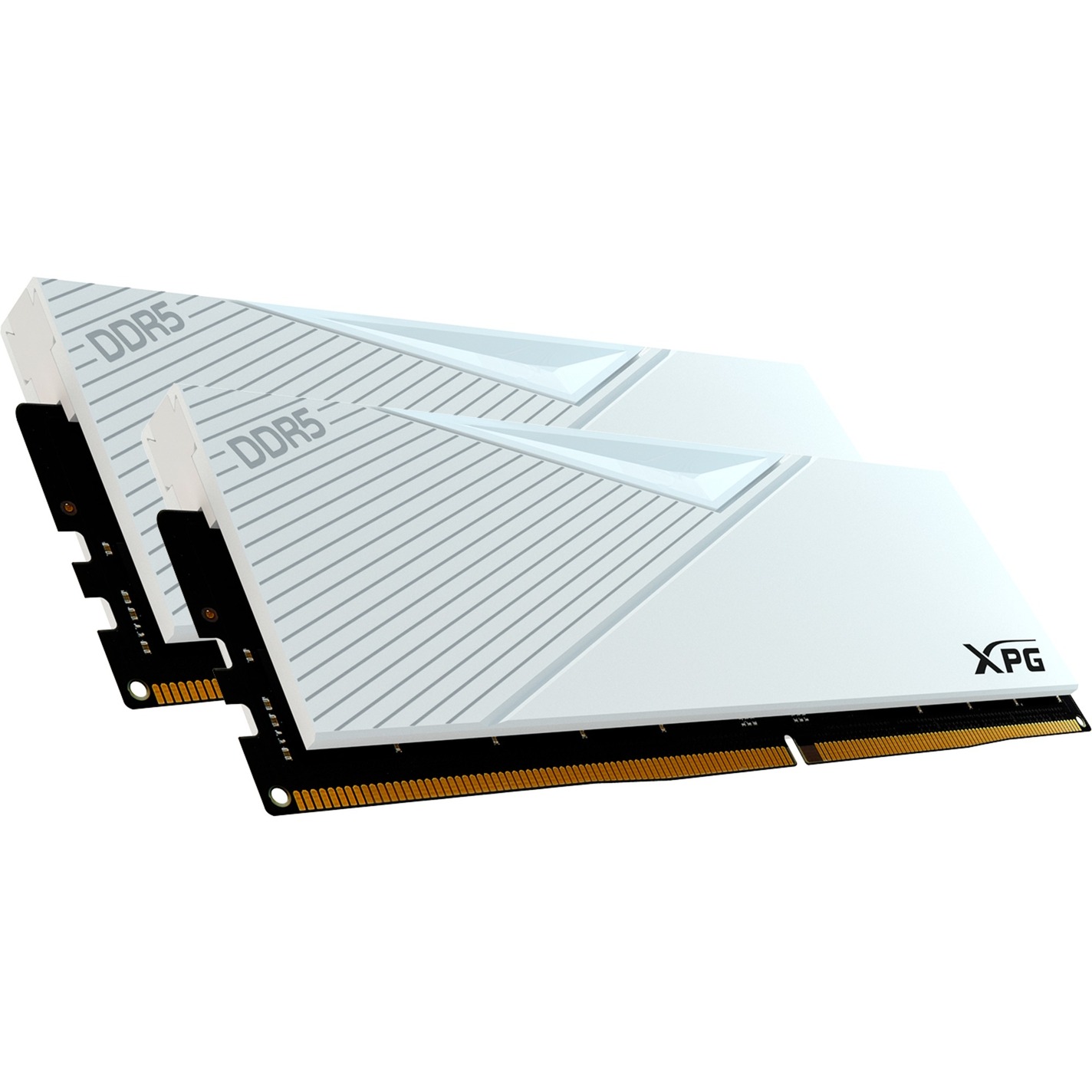 DIMM 32 GB DDR5-6000 (2x 16 GB) Dual-Kit, Arbeitsspeicher