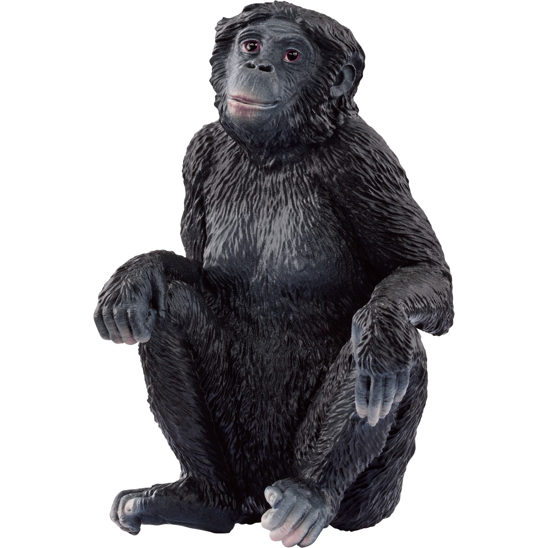 Schleich Wild Life Bonobo Weibchen, Spielfigur | 04059433731261 Schleich Wild Life Bonobo Weibchen, Spielfigur | 04059433731261