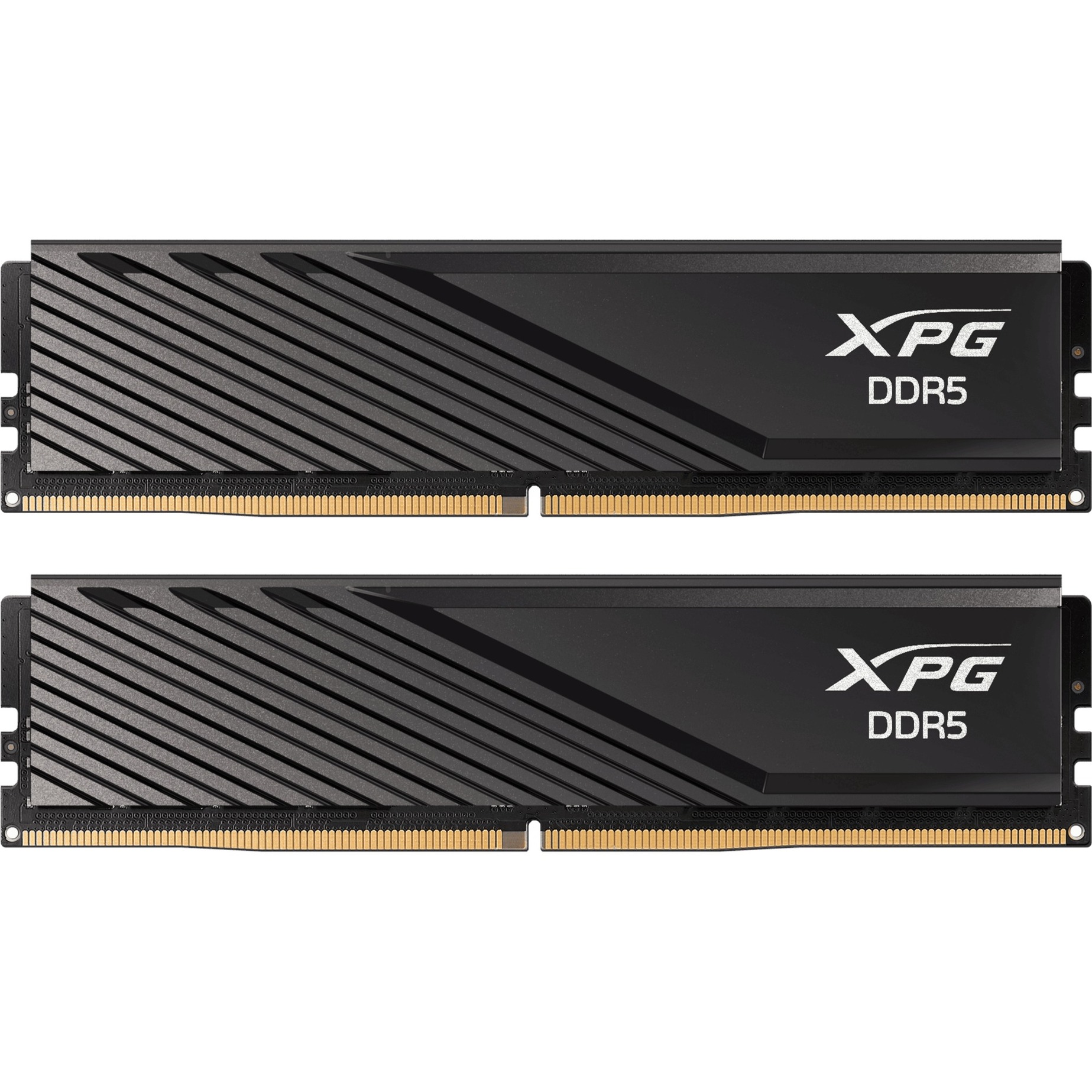 ADATA DIMM 32 GB DDR5-6000 (2x 16 GB) Dual-Kit, Arbeitsspeicher | 04711085948342 ADATA DIMM 32 GB DDR5-6000 (2x 16 GB) Dual-Kit, Arbeitsspeicher | 04711085948342