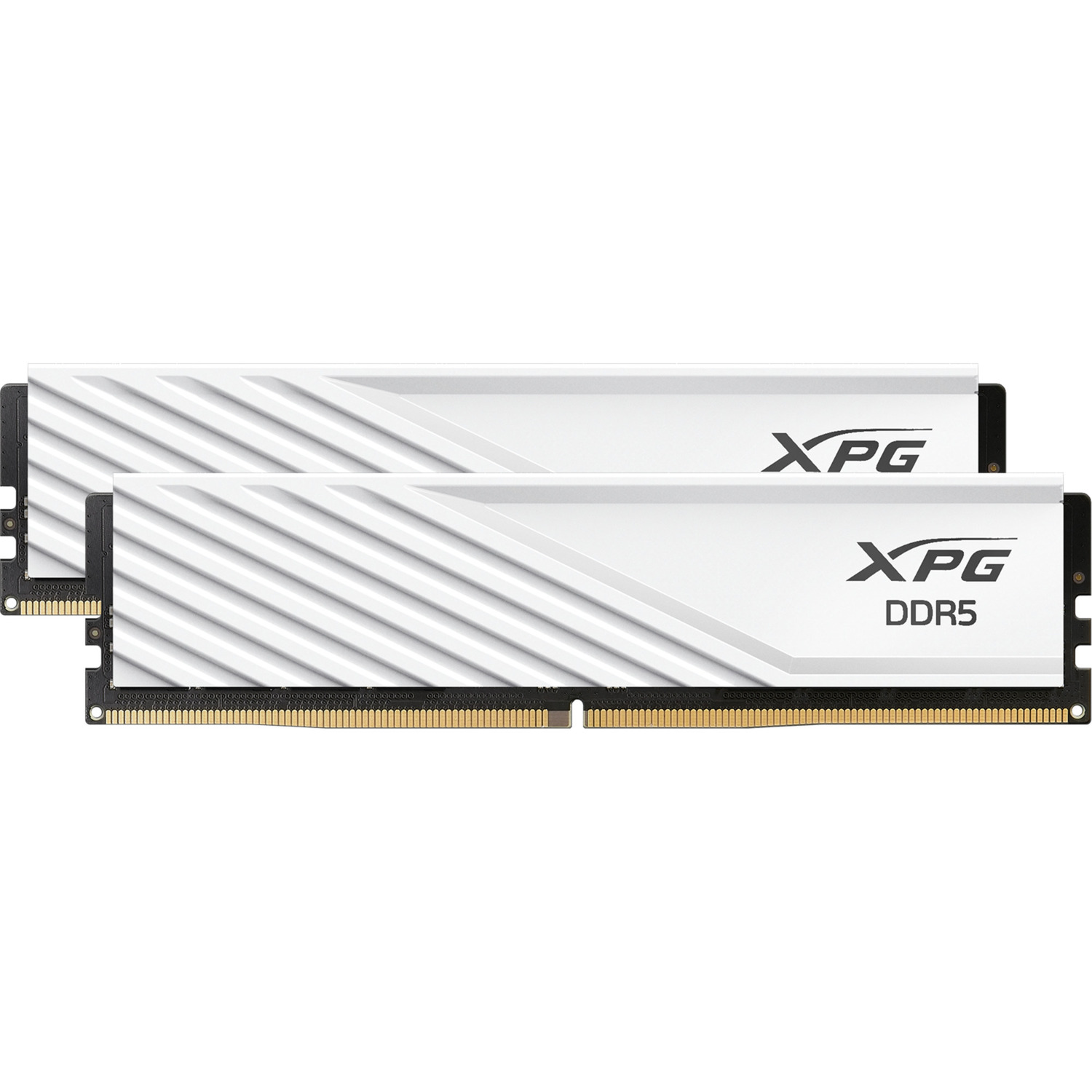 DIMM 32 GB DDR5-6000 (2x 16 GB) Dual-Kit, Arbeitsspeicher