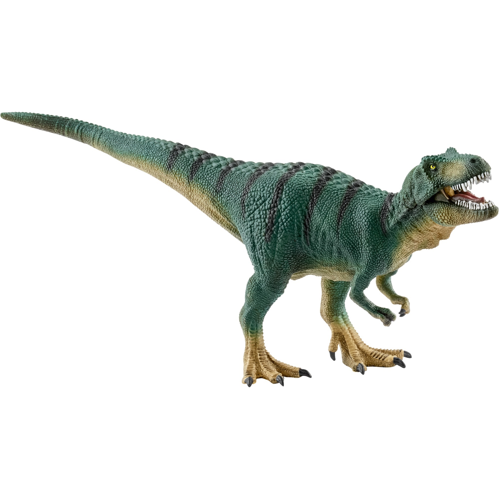 Schleich Dinosaurier Jungtier Tyrannosaurus Rex, Spielfigur | 04055744022005 Schleich Dinosaurier Jungtier Tyrannosaurus Rex, Spielfigur | 04055744022005