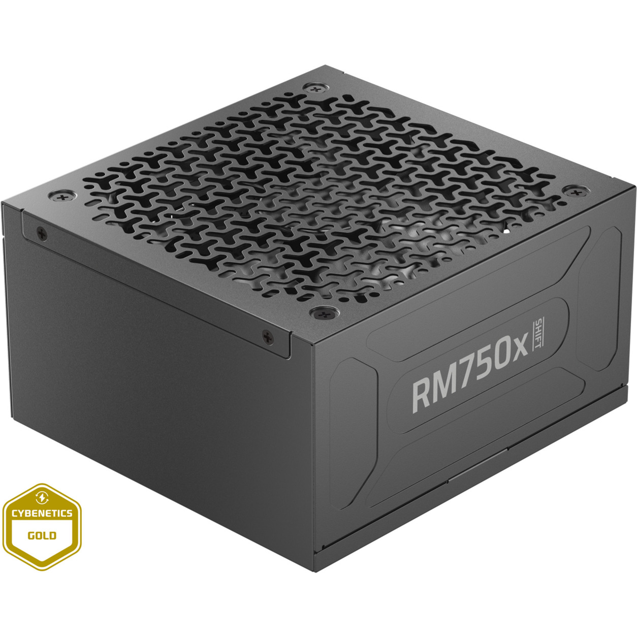 RM750x SHIFT, PC-Netzteil