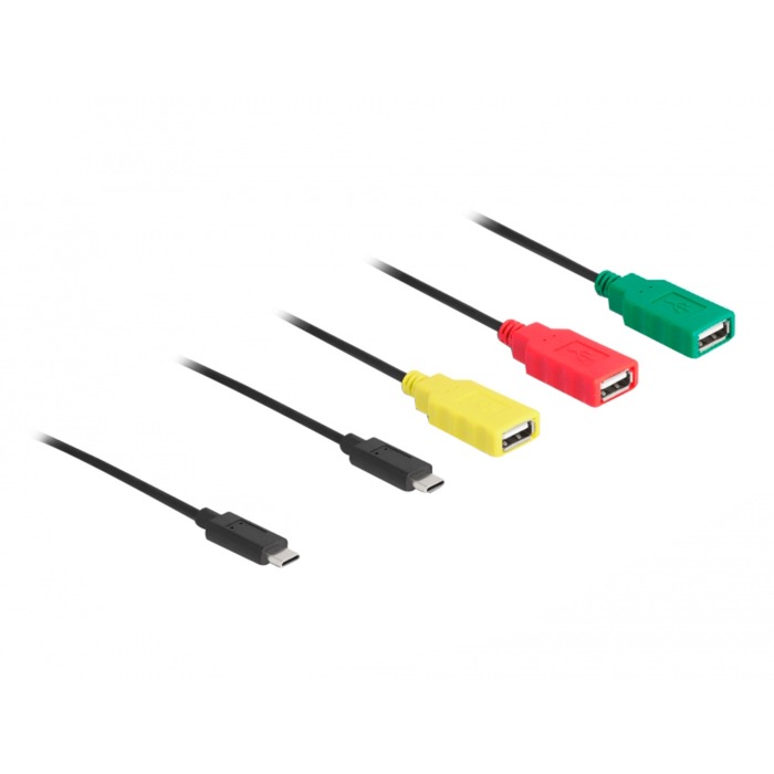 Delock 4 Port USB 2.0 Kabel-Hub mit USB Type-C zu 3 x USB-A, USB-Hub | 04043619642038