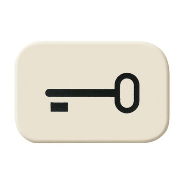 Tastersymbol Schlüssel 2525 TR mit Symbolen