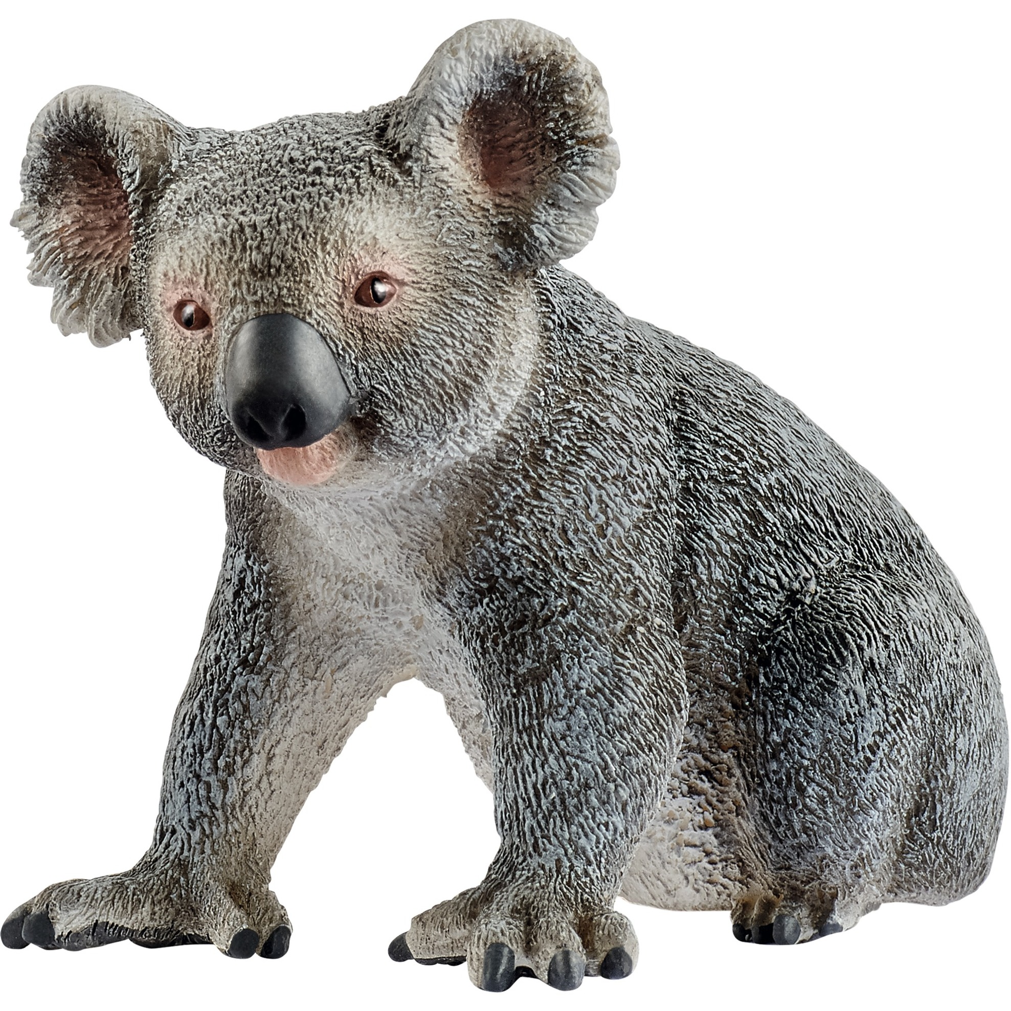 Schleich Wild Life Koala, Spielfigur | 04055744020834 Schleich Wild Life Koala, Spielfigur | 04055744020834