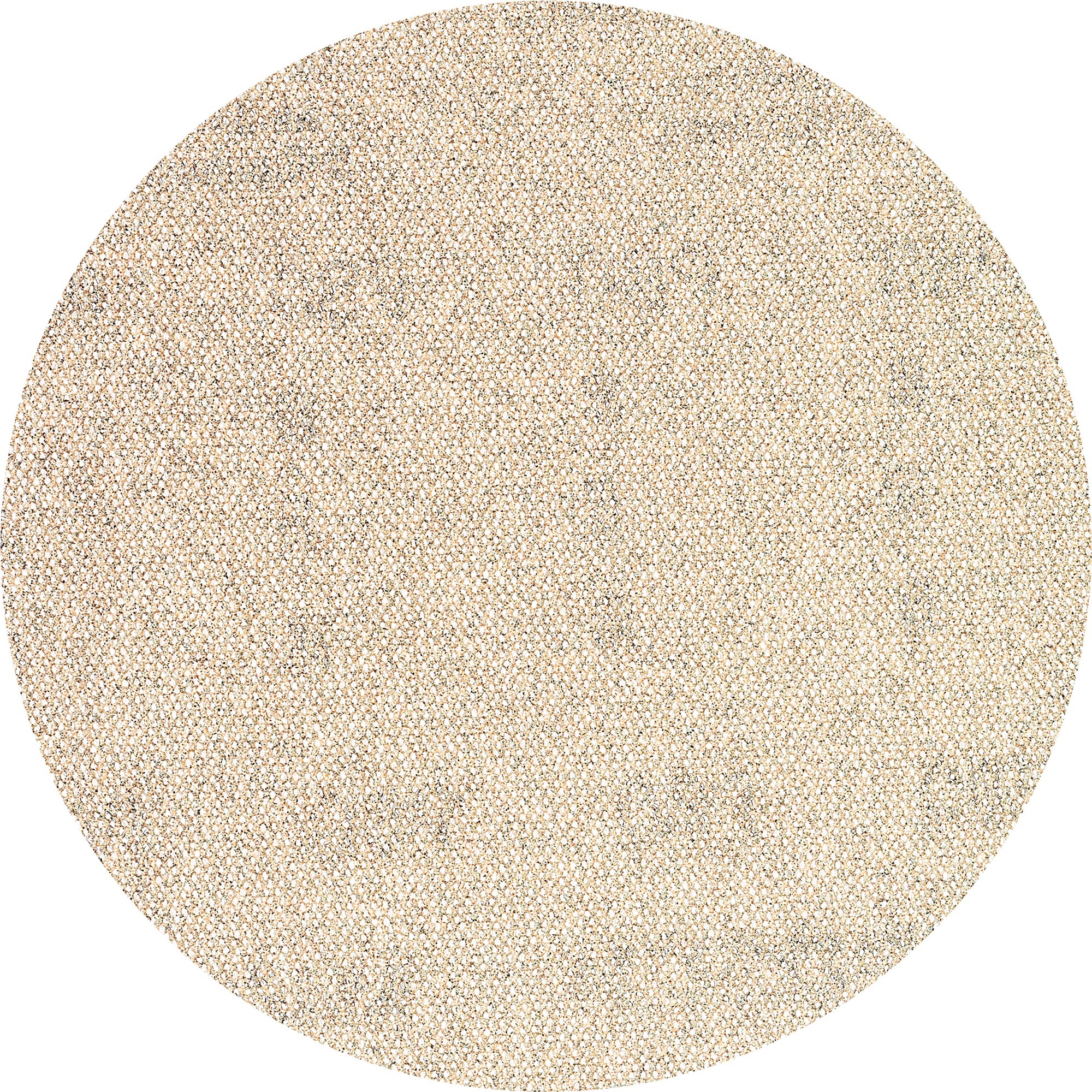 Expert M480 Netzstruktur-Schleifblatt Ø 150mm, K80