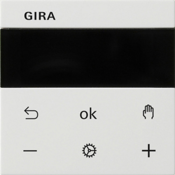 Raumtemperaturregler Display System 3000 mit kapazitiver Sensorfläche, System 55, Thermostat