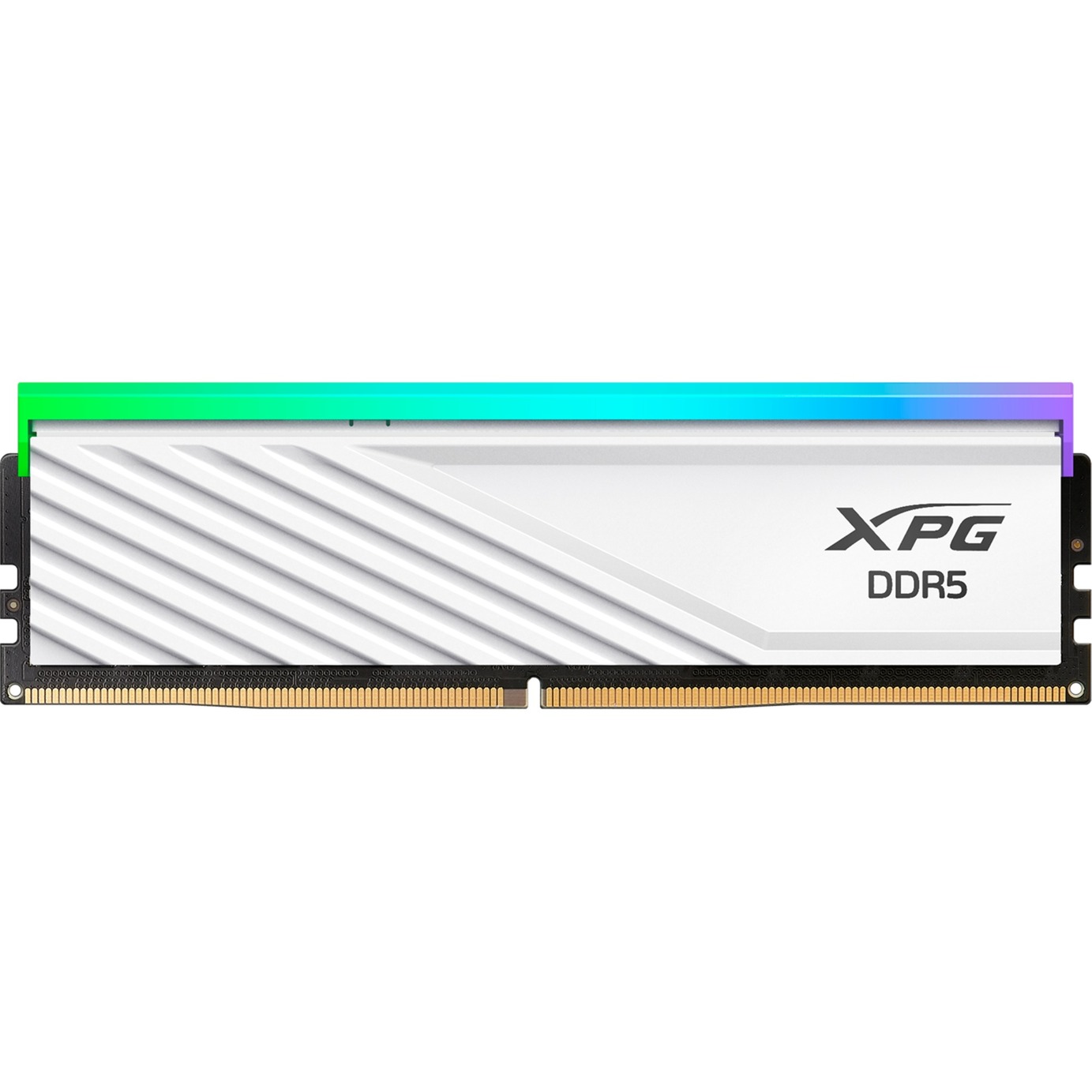 ADATA DIMM 16 GB DDR5-6000 , Arbeitsspeicher | 04711085944894