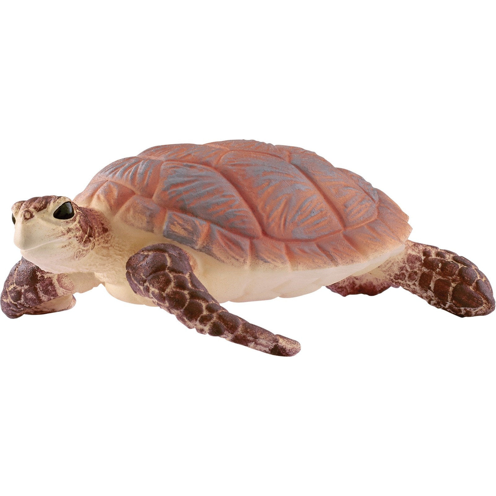 Schleich Wild Life Echte Karettschildkröte, Spielfigur | 04059433792460 Schleich Wild Life Echte Karettschildkröte, Spielfigur | 04059433792460