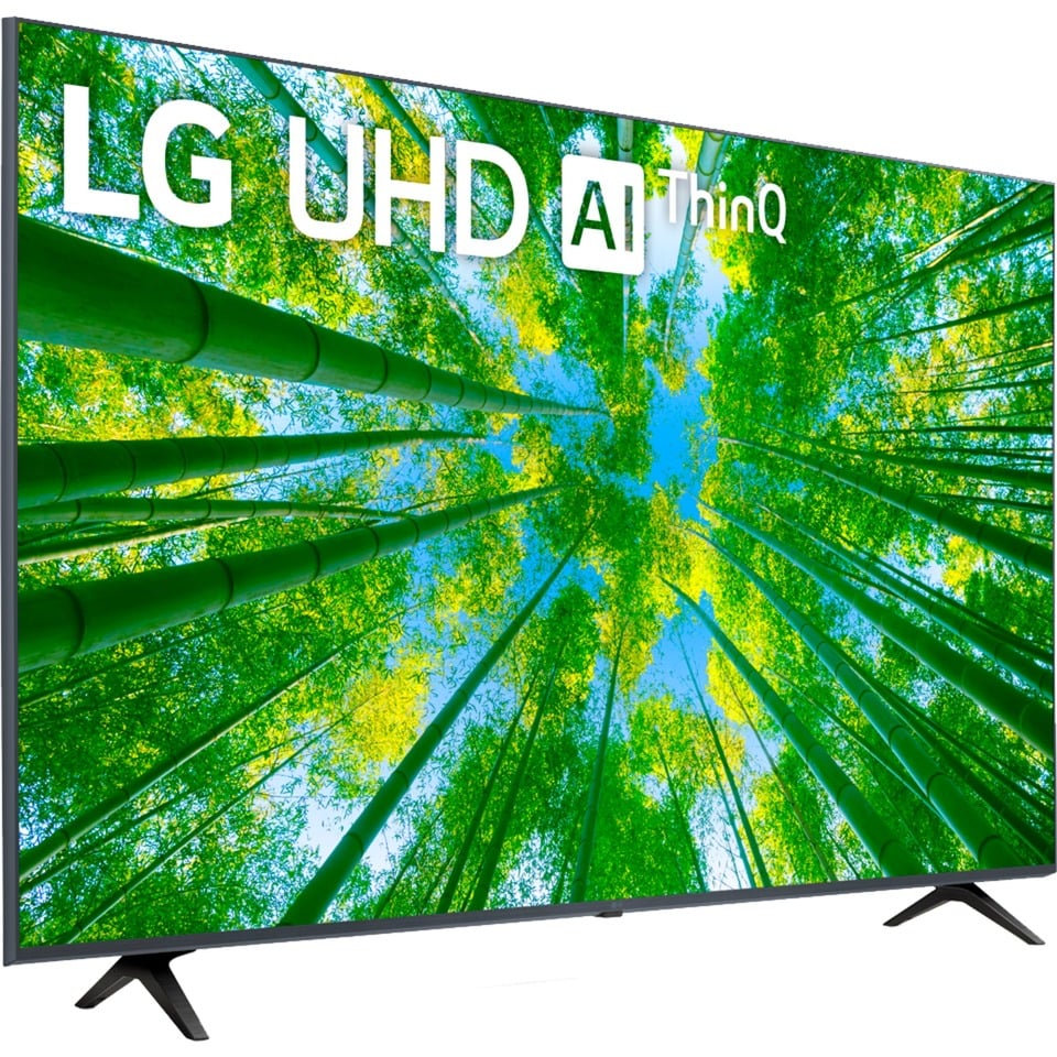 LG 65UQ80009LB, LED-Fernseher | 08806091635365 LG 65UQ80009LB, LED-Fernseher | 08806091635365