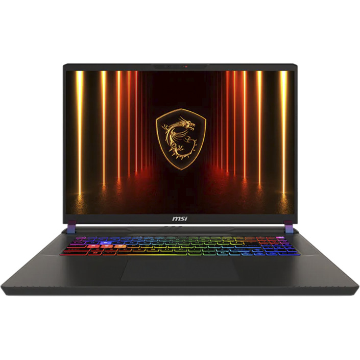 Vector 17 HX AI A2XWIG-040, Gaming-Notebook