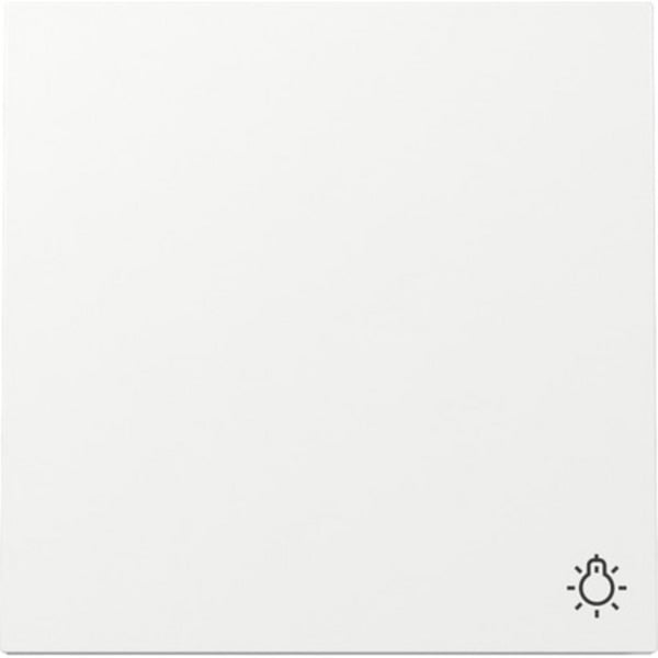 GIRA Wippe Symb. Licht Schalter Reinweiá 328570