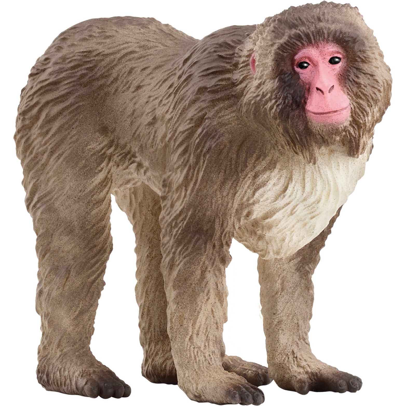Schleich Wild Life Japanmakak, Spielfigur | 04059433789453 Schleich Wild Life Japanmakak, Spielfigur | 04059433789453