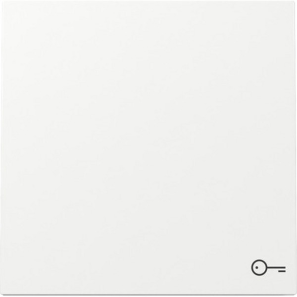 Wippe mit Symbol Schlüssel Tür einteilige Ausführung Schalter Taster