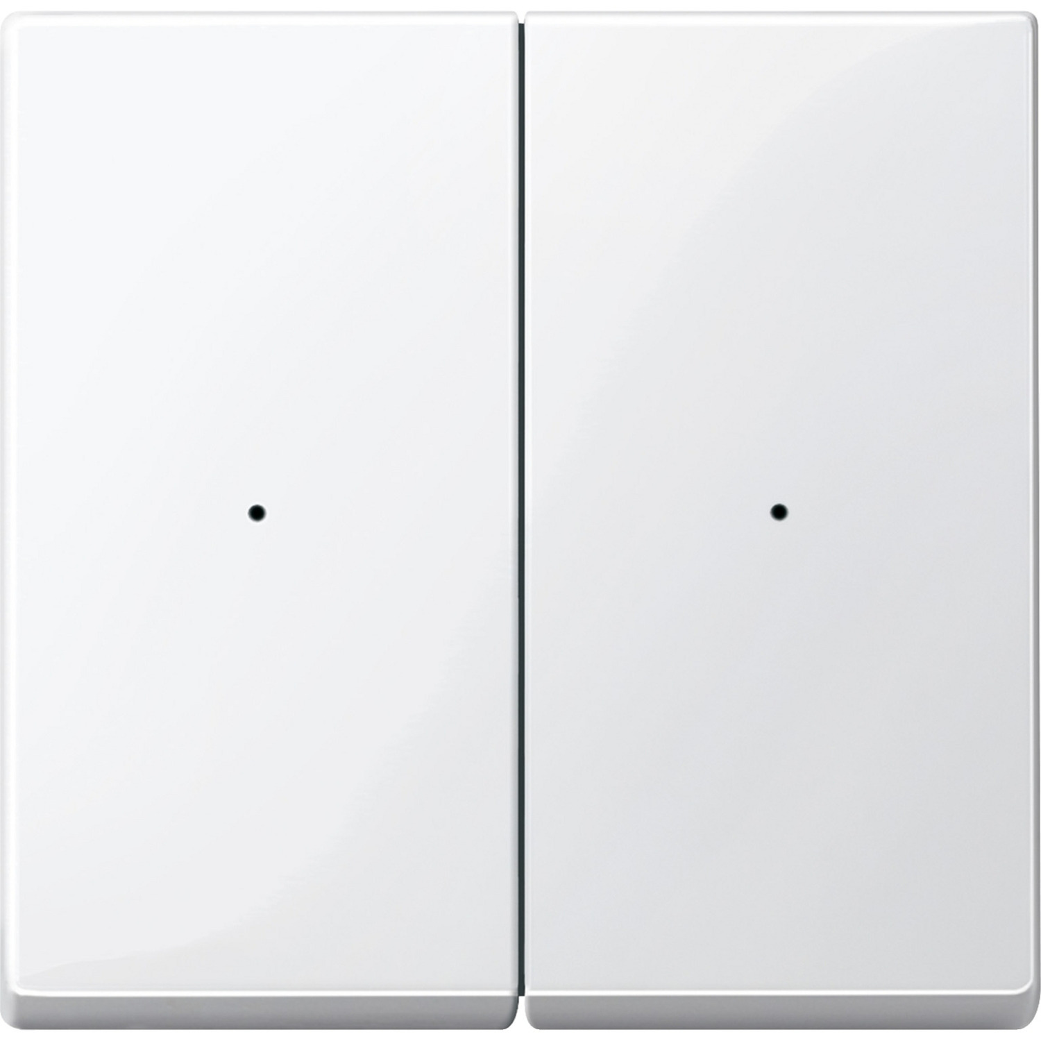 Wippe polarweiß glänzend für Tastermodul zweifach System M 619219