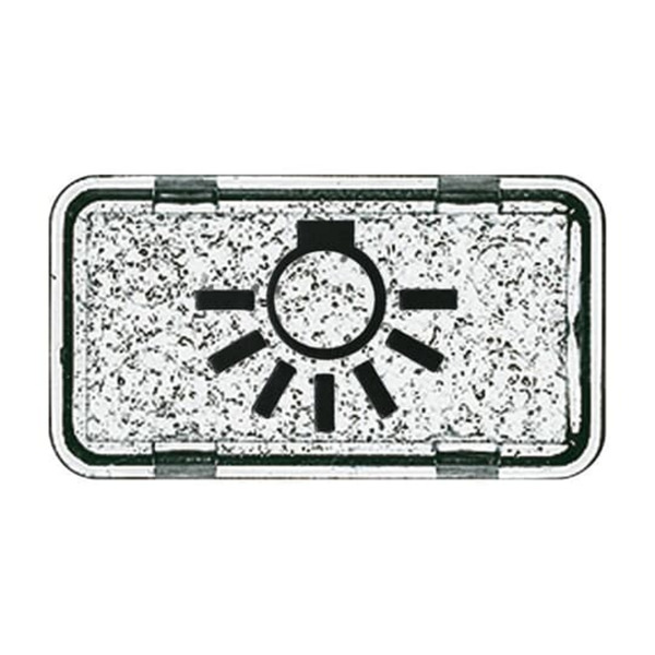 Tastersymbol Licht 2622 LI-101, Schalter