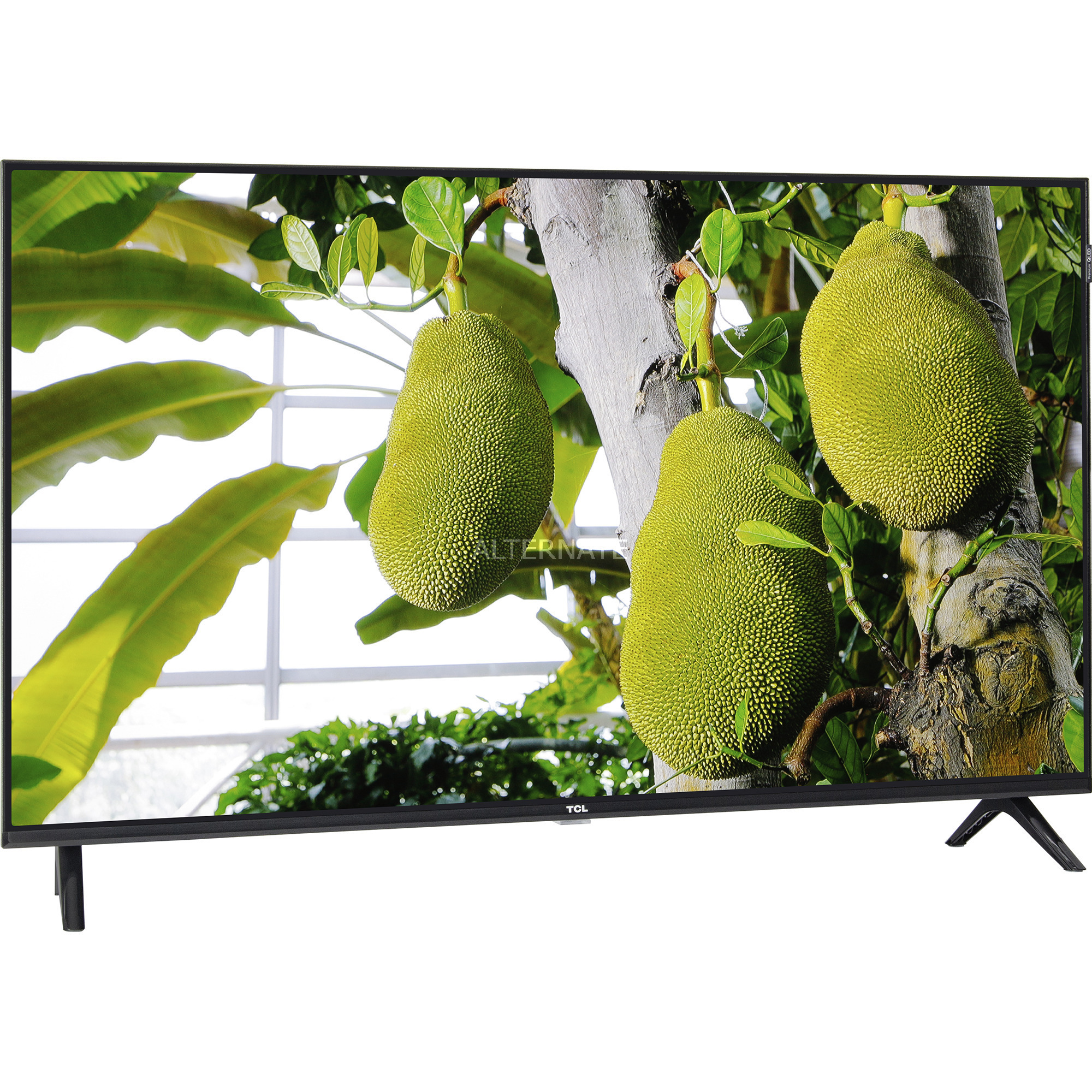 43V5C, QLED-Fernseher