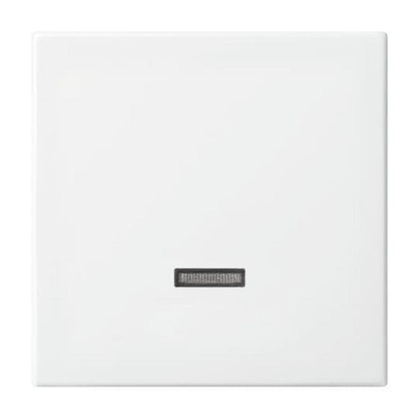 Bedienelement Typ 6543-914-102, Dimmer