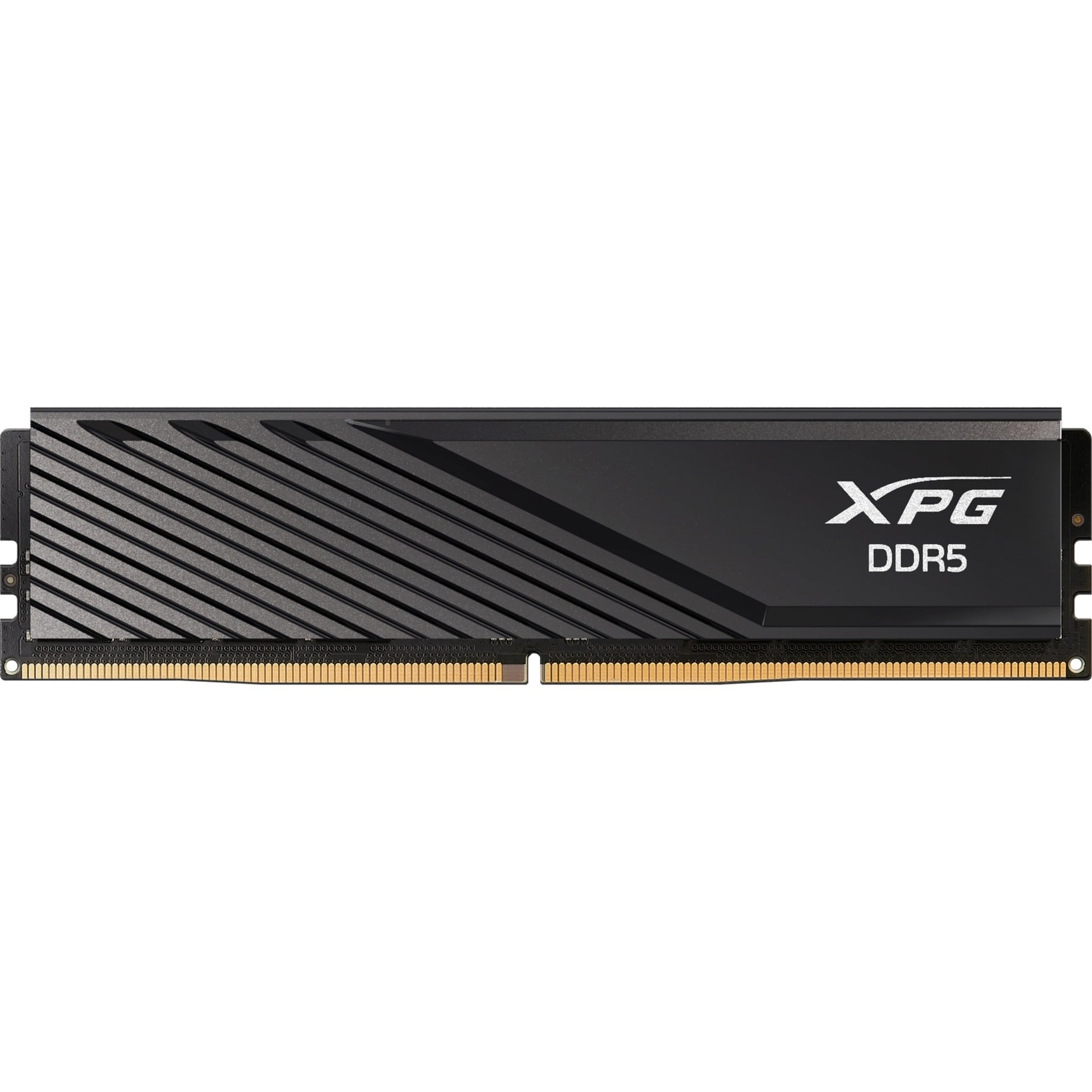 DIMM 16 GB DDR5-6000 , Arbeitsspeicher