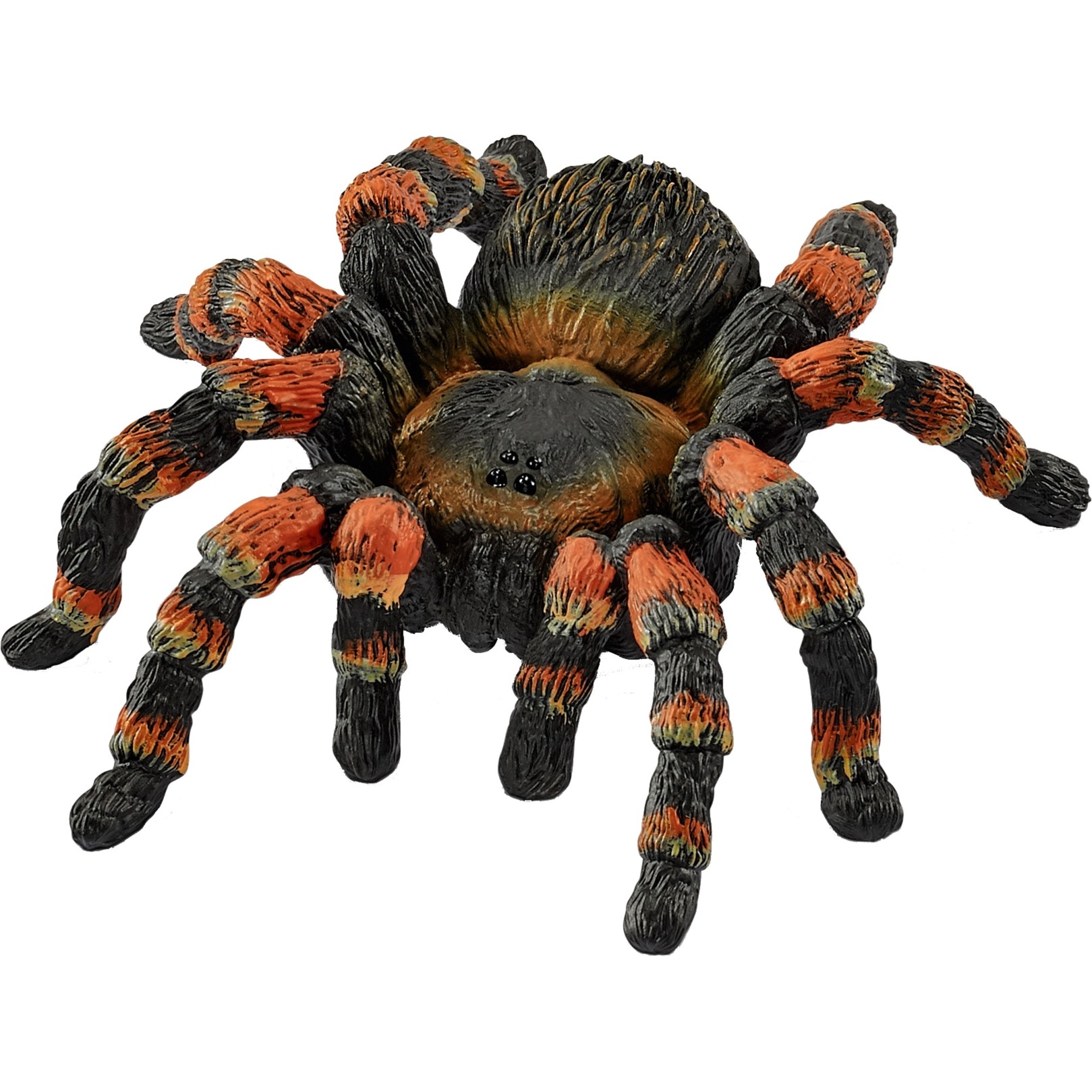 Schleich Wild Life Vogelspinne, Spielfigur | 04059433025360 Schleich Wild Life Vogelspinne, Spielfigur | 04059433025360