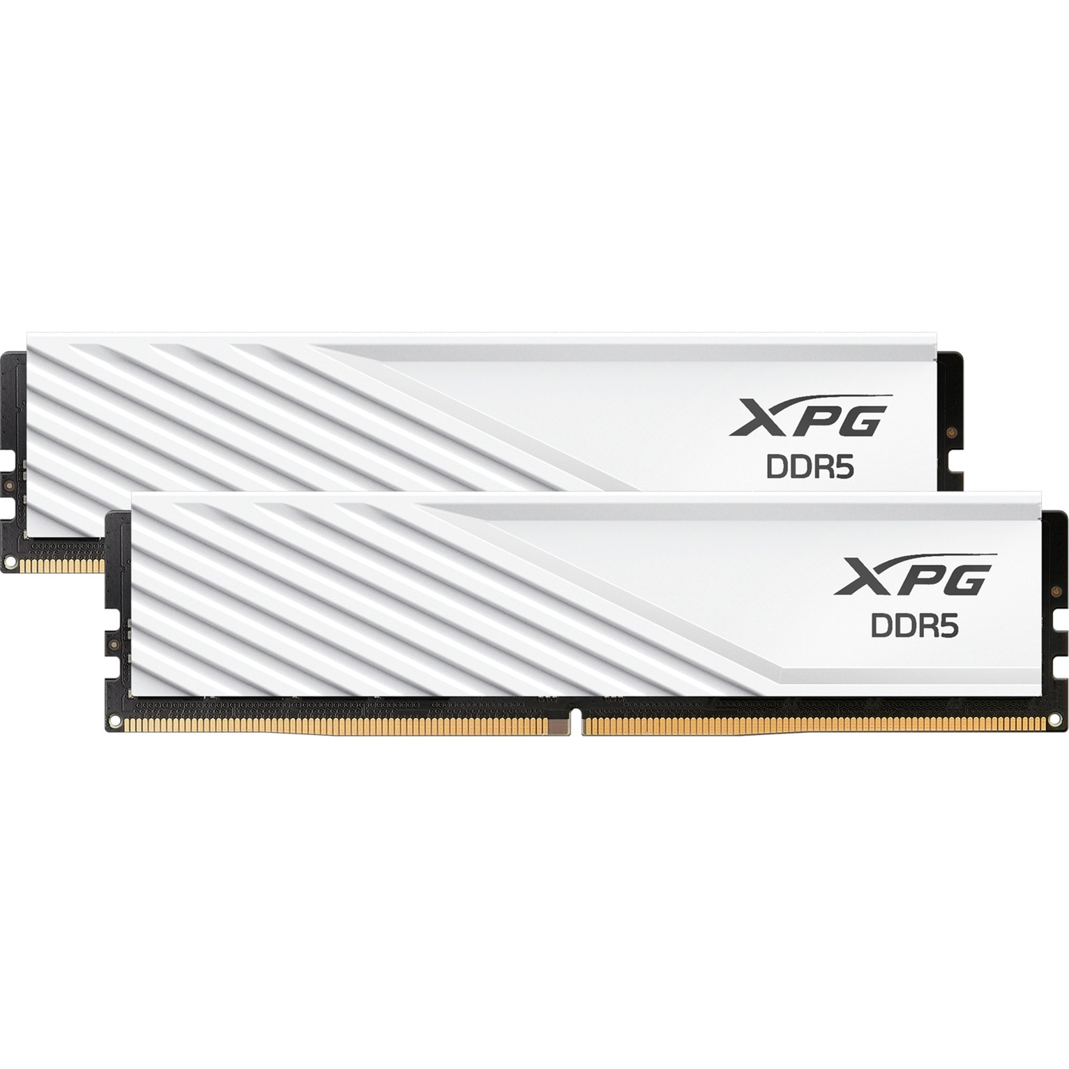 ADATA DIMM 32 GB DDR5-5600 (2x 16 GB) Dual-Kit, Arbeitsspeicher | 04711085945433
