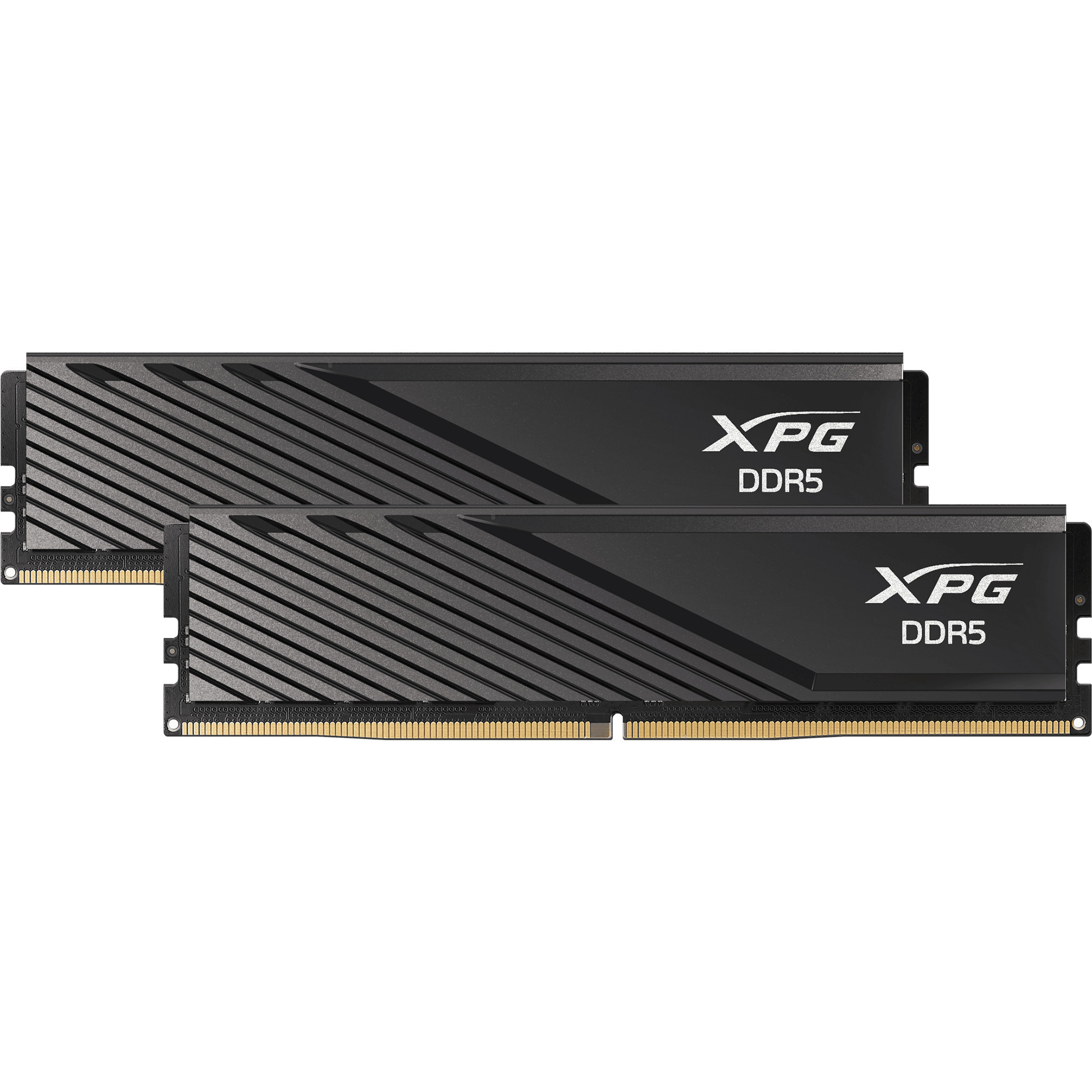 DIMM 32 GB DDR5-6000 (2x 16 GB) Dual-Kit, Arbeitsspeicher